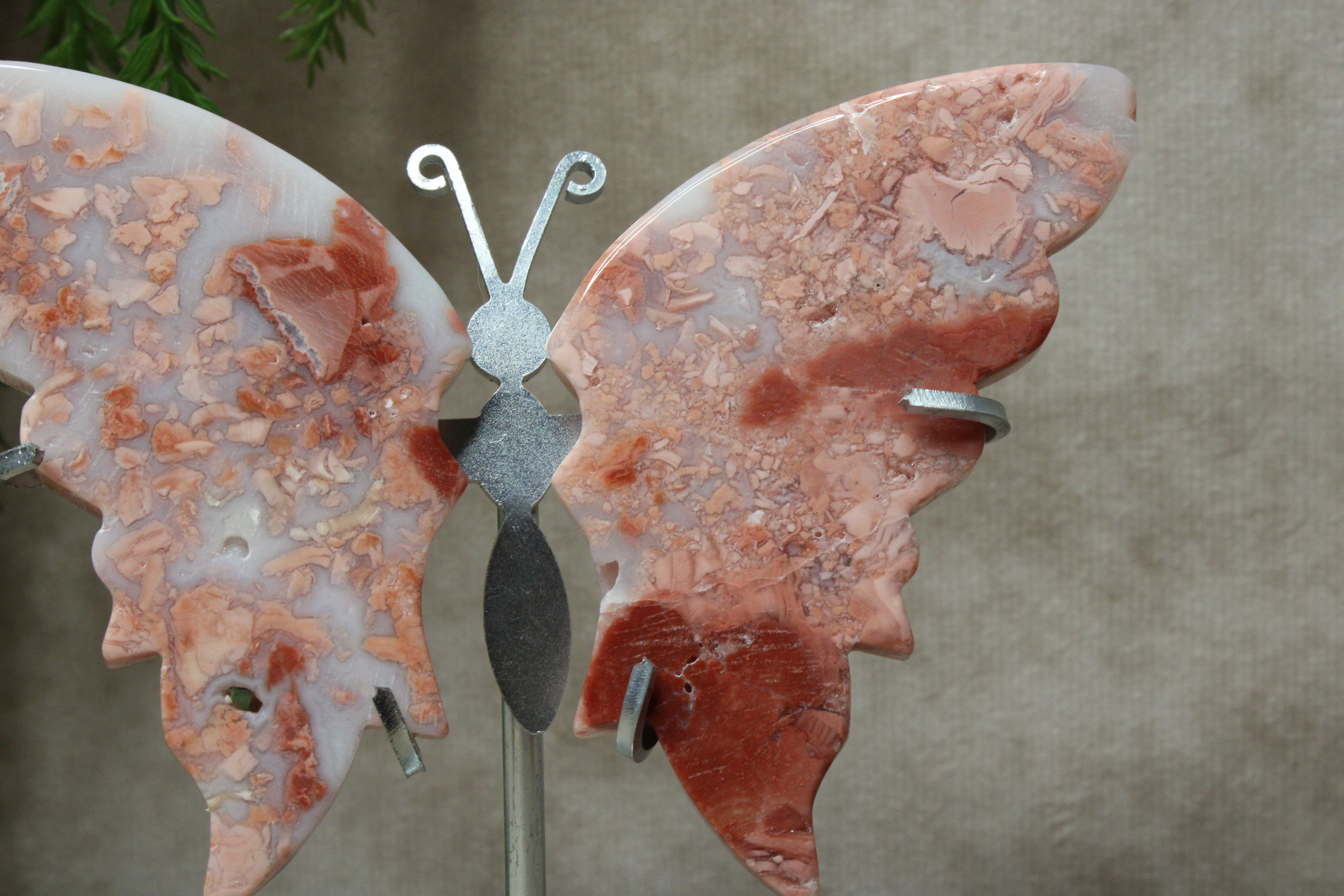 Roze agaat vlinder #1450