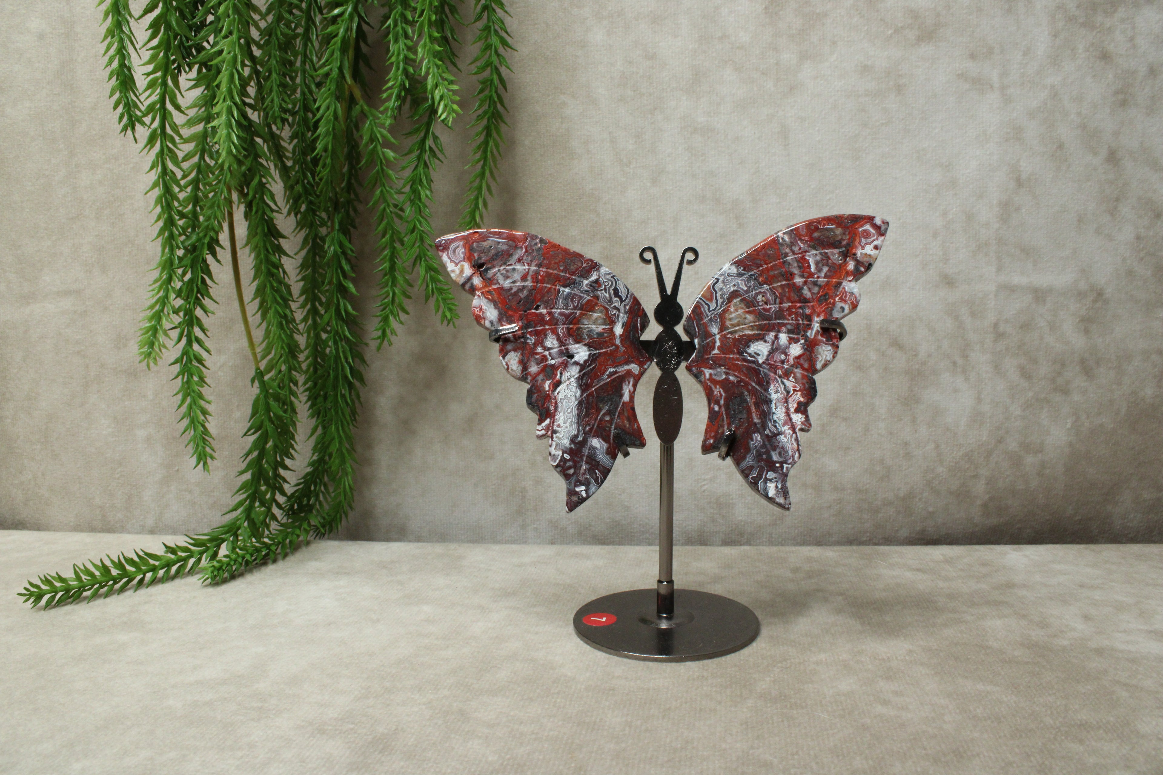 Vlinder crazy lace agaat #11