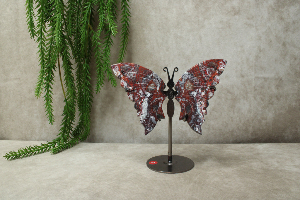 Vlinder crazy lace agaat #11