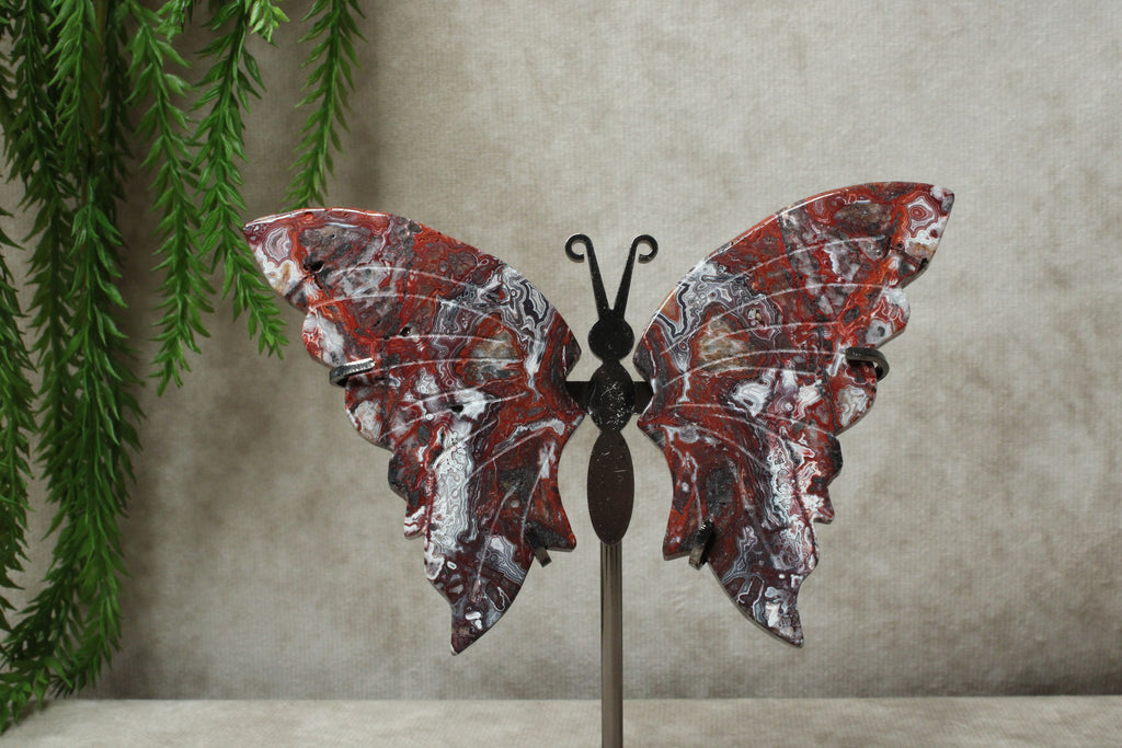 Vlinder crazy lace agaat #11