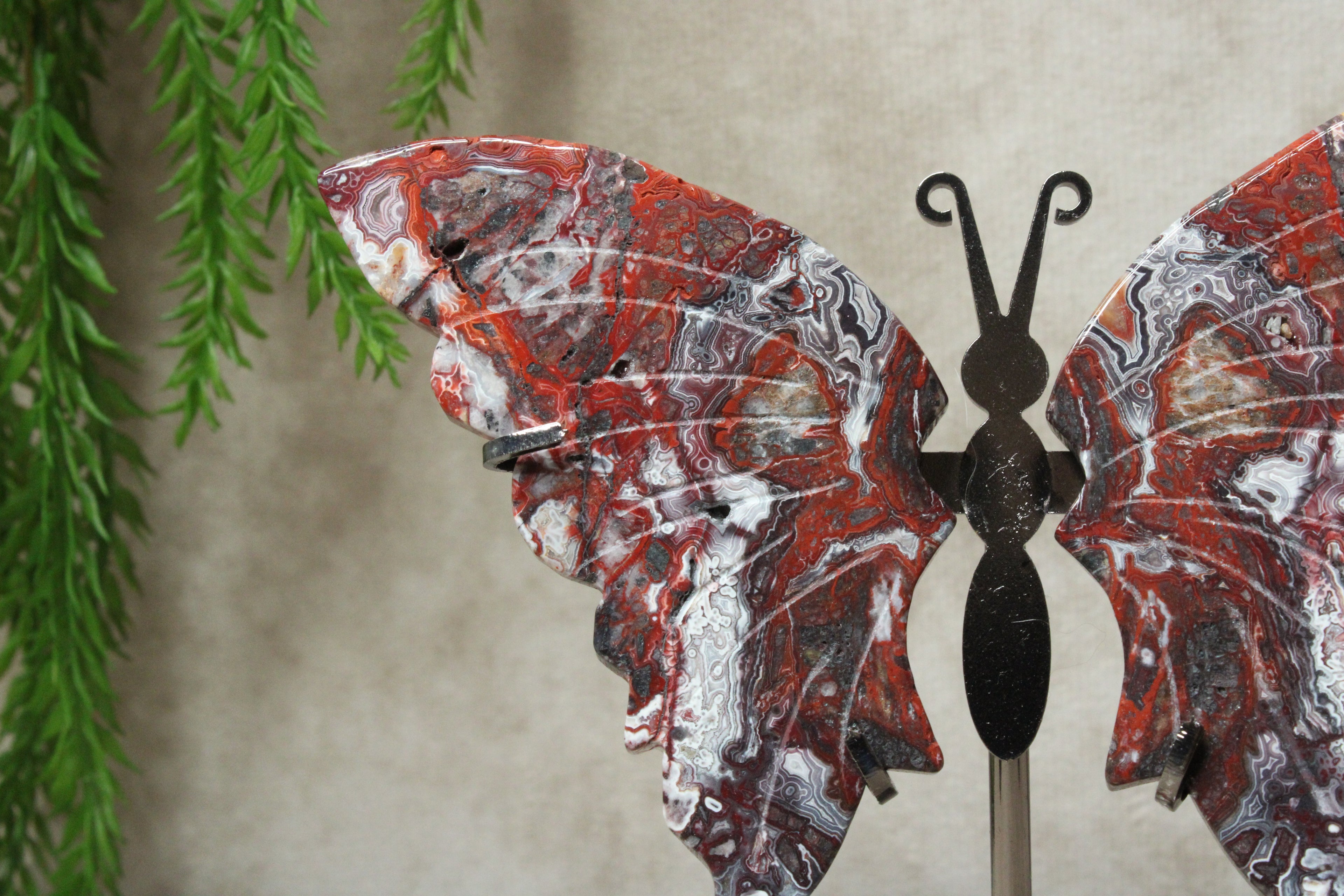 Vlinder crazy lace agaat #11