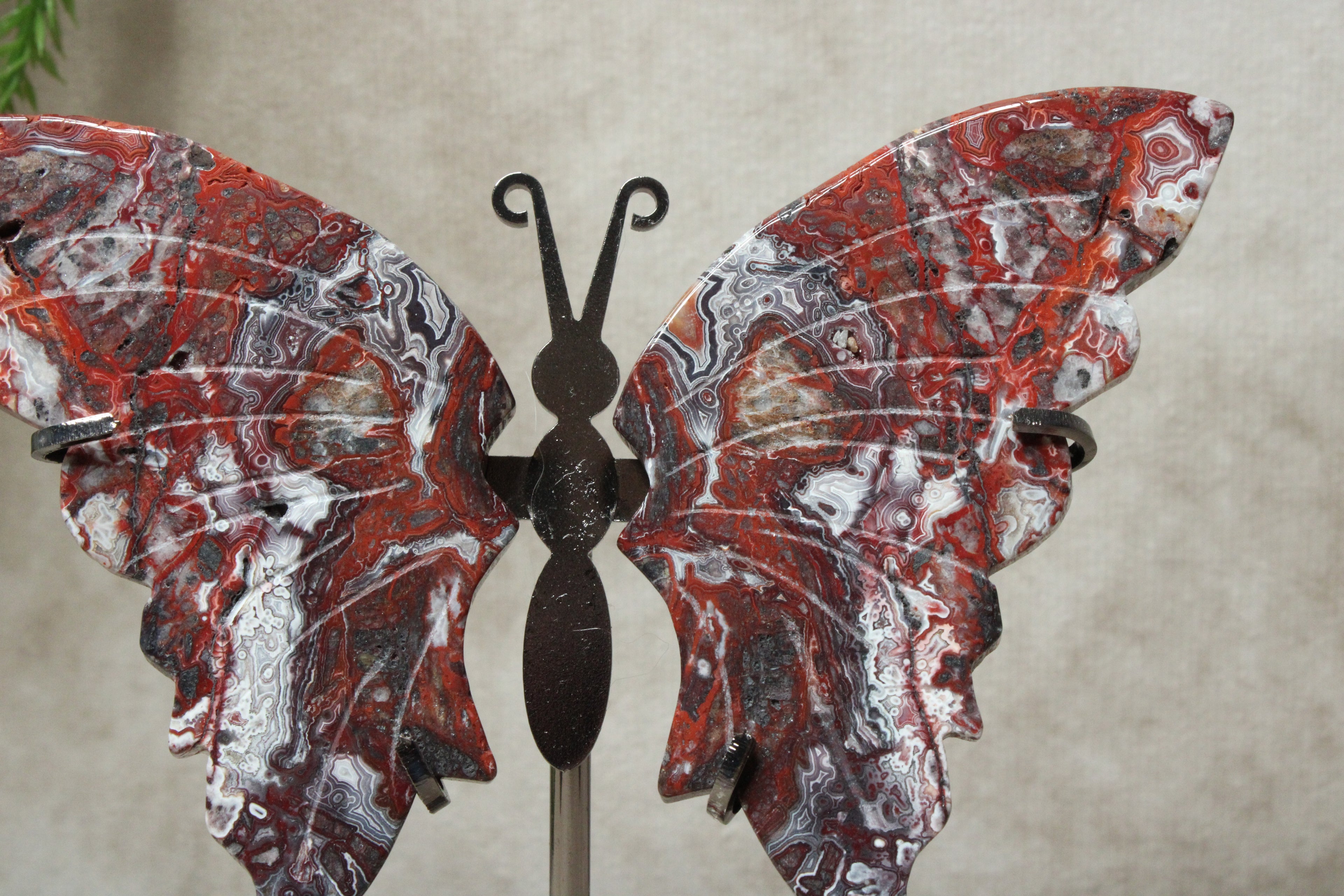 Vlinder crazy lace agaat #11