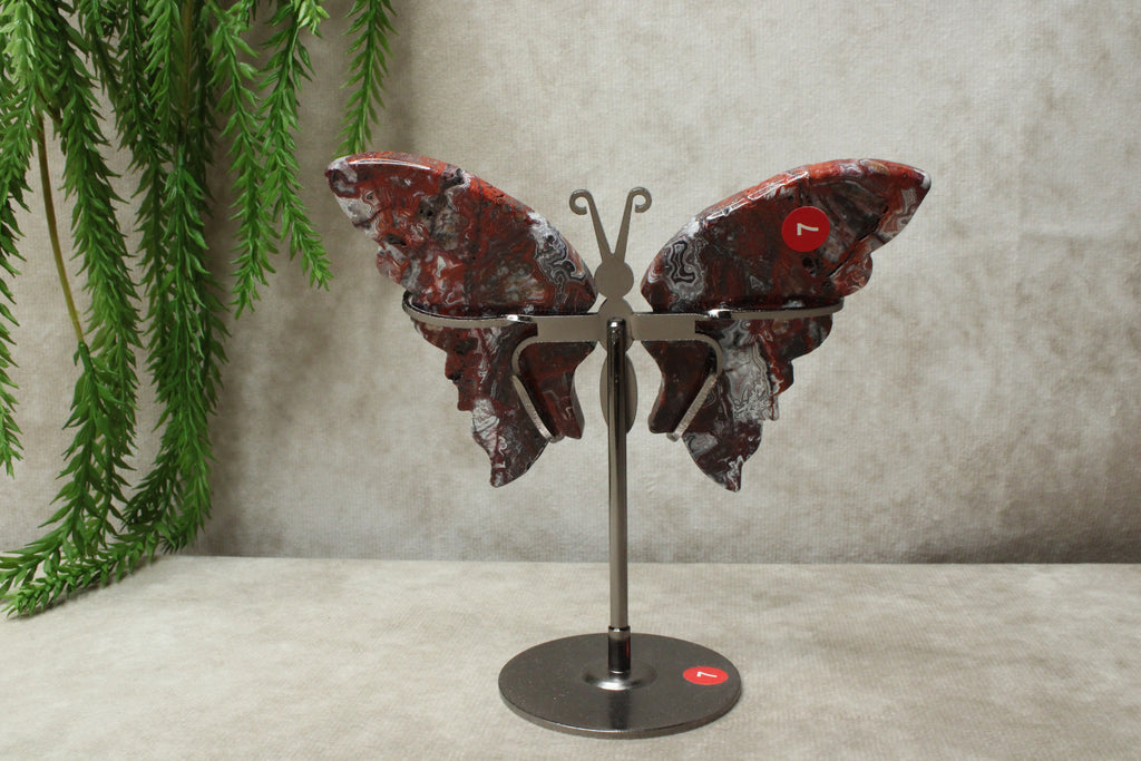 Vlinder crazy lace agaat #11