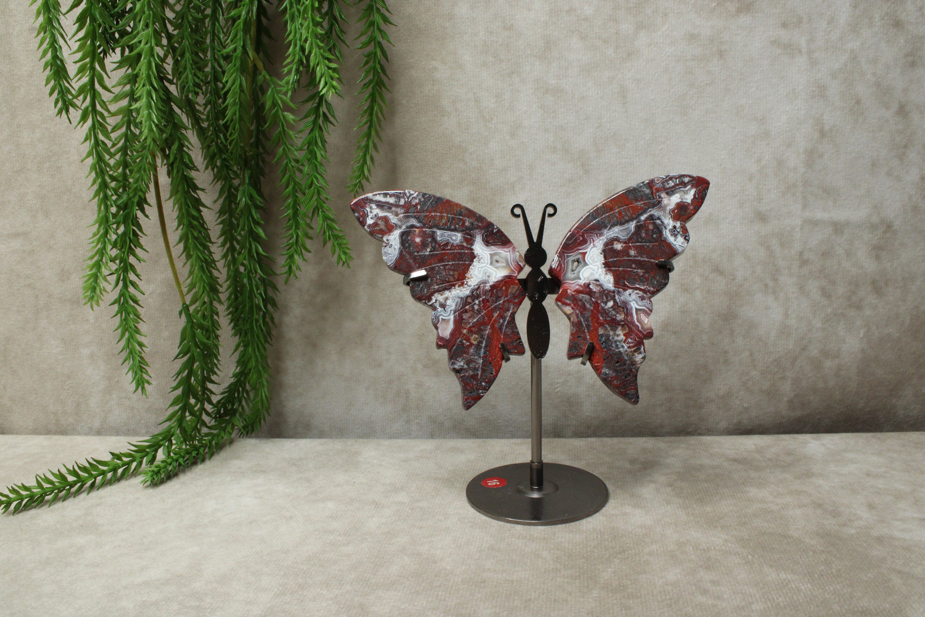 Vlinder Crazy lace agaat #16