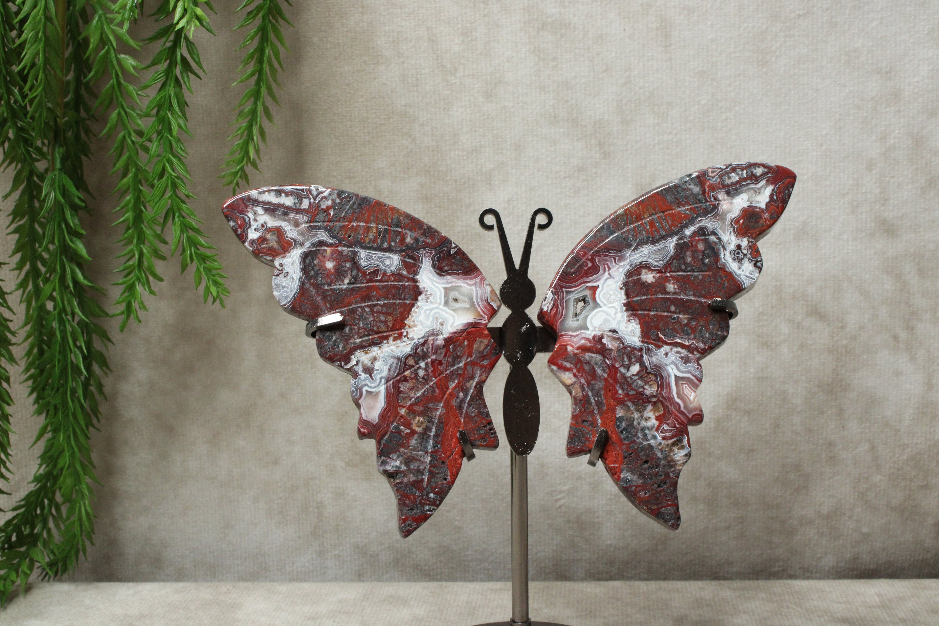 Vlinder Crazy lace agaat #16