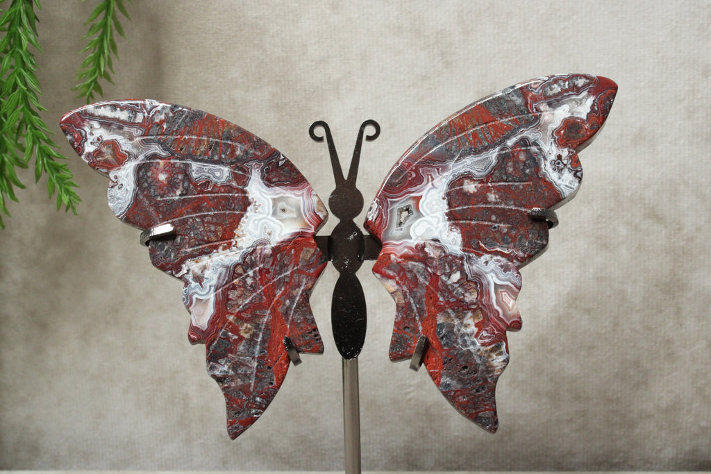 Vlinder Crazy lace agaat #16