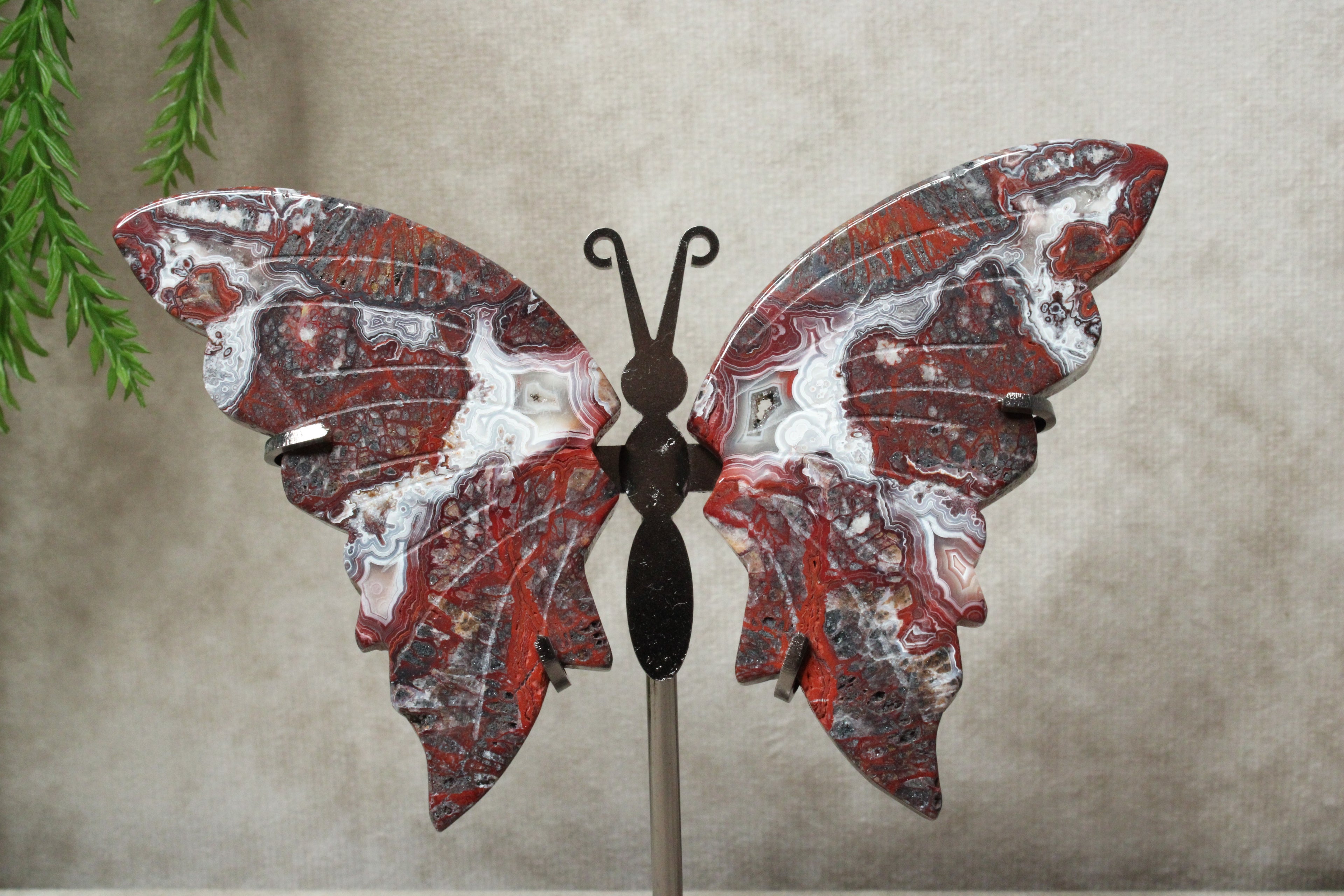 Vlinder Crazy lace agaat #16