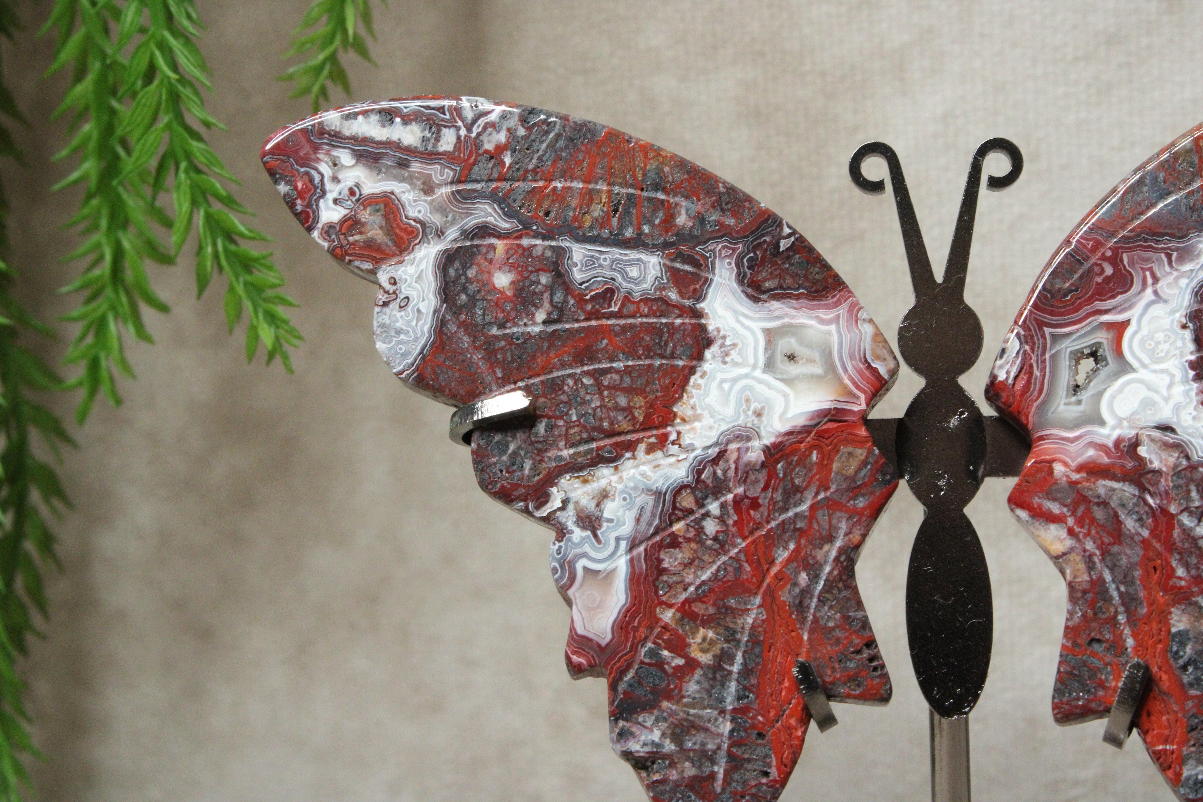 Vlinder Crazy lace agaat #16