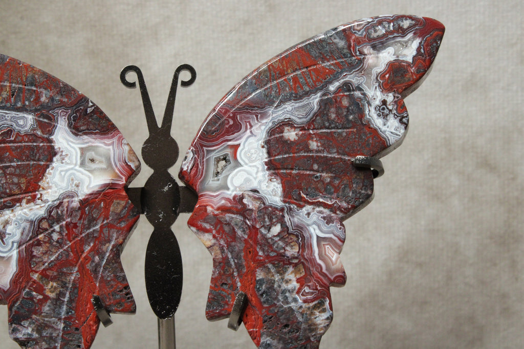 Vlinder Crazy lace agaat #16