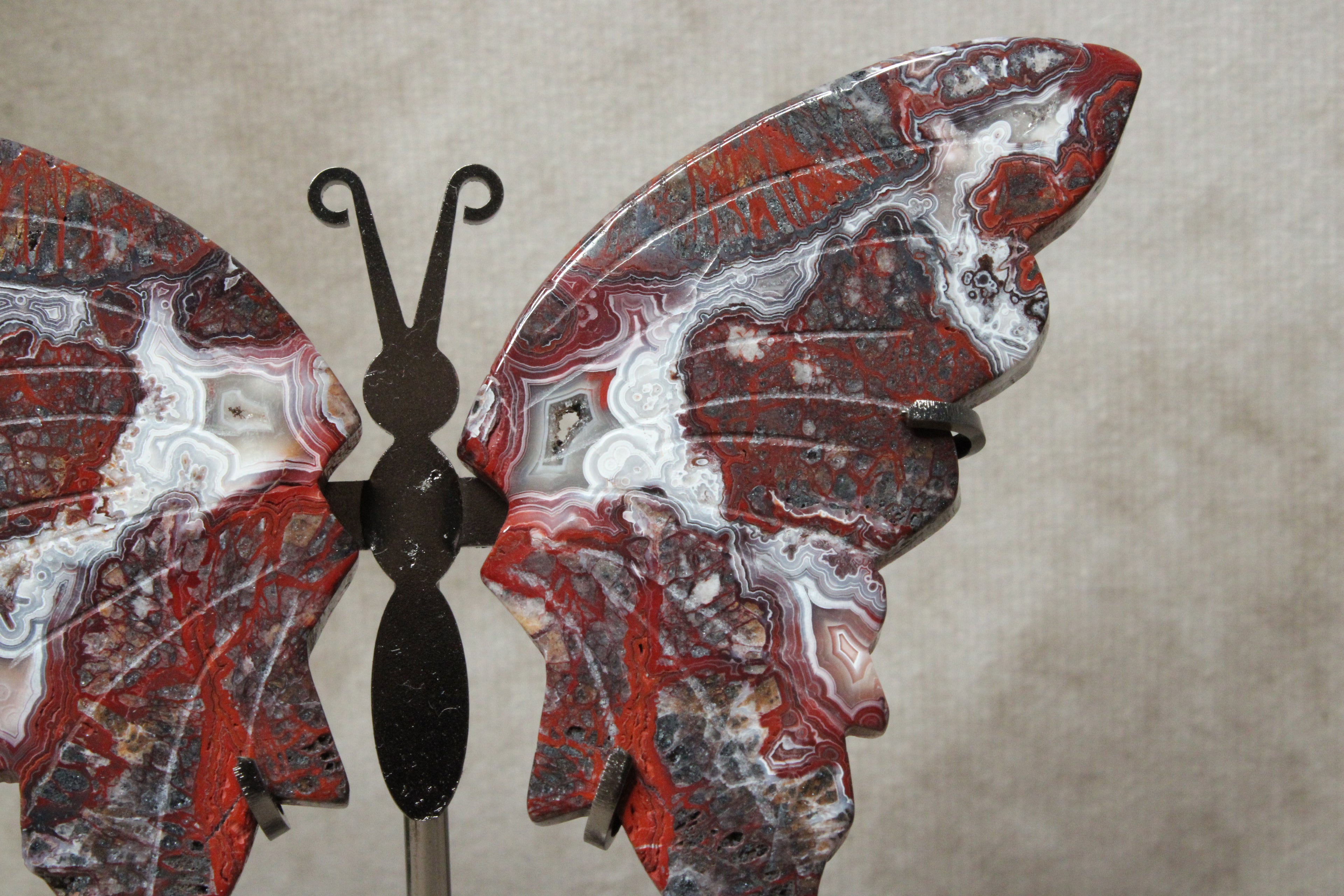 Vlinder Crazy lace agaat #16