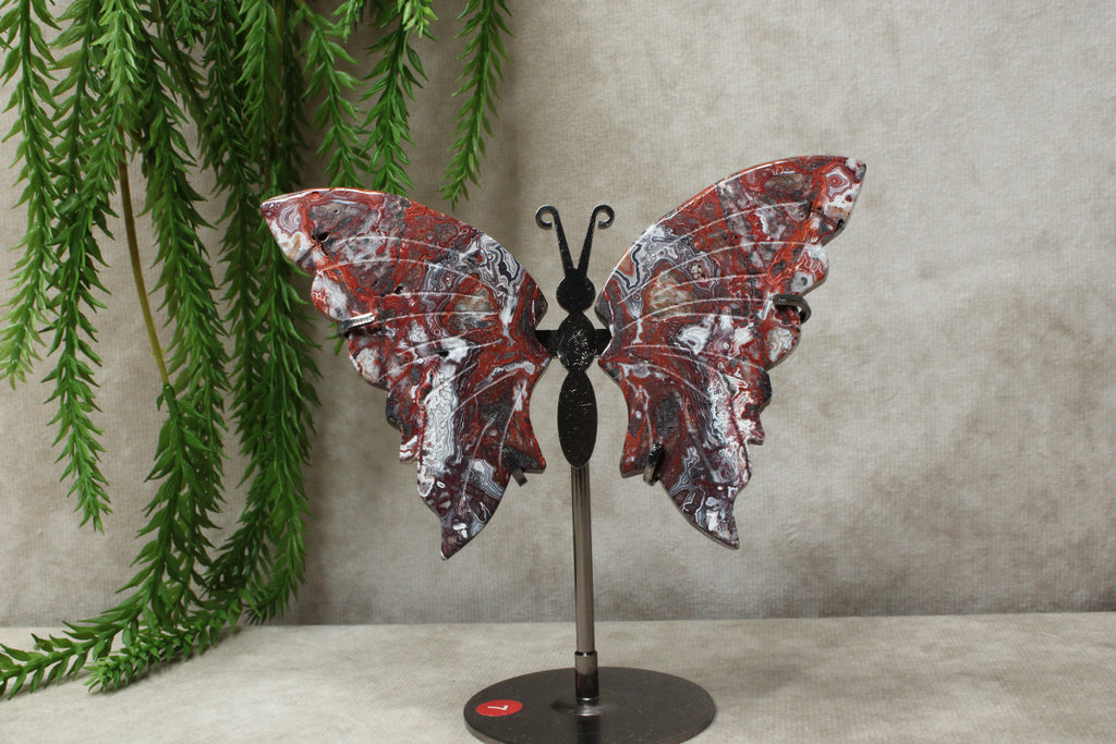 Vlinder crazy lace agaat #7