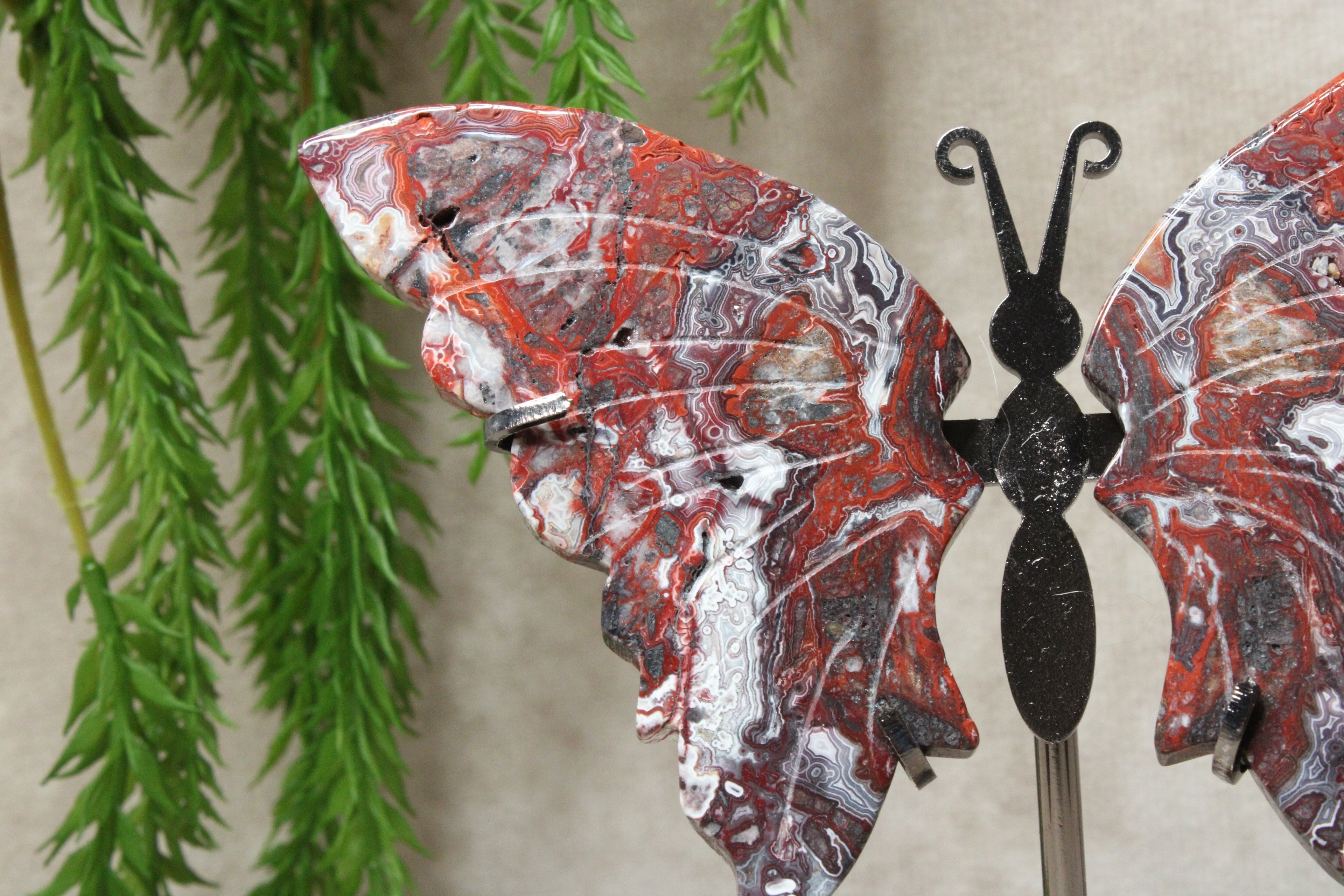 Vlinder crazy lace agaat #7