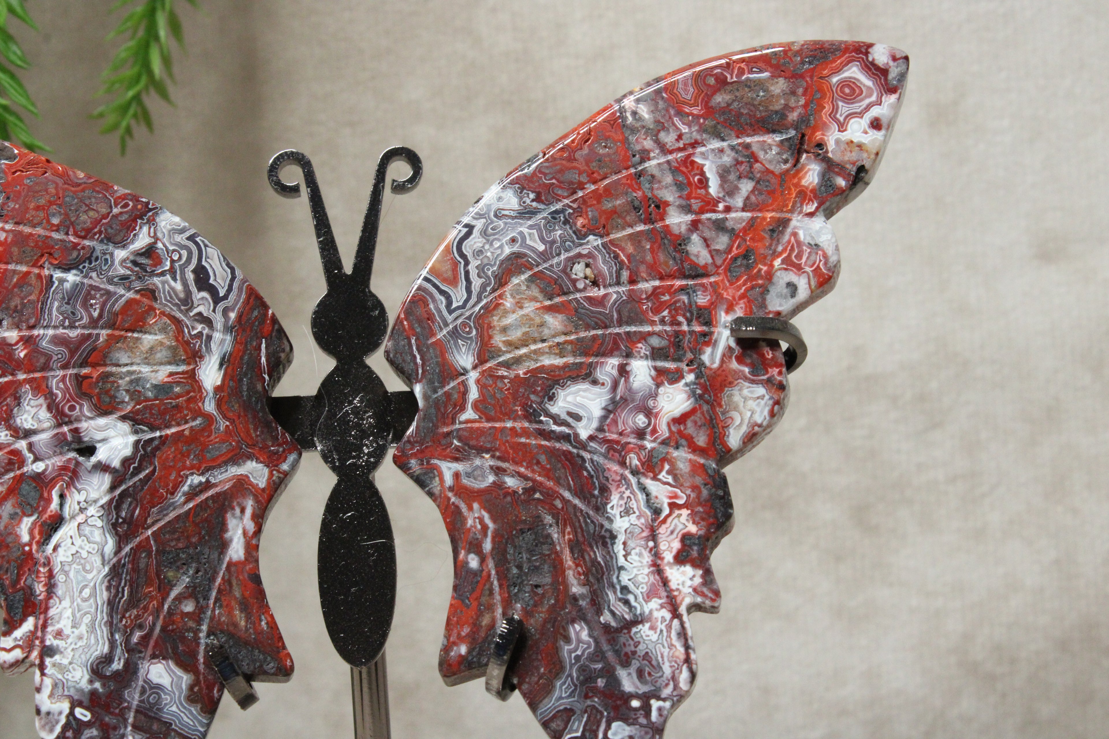 Vlinder crazy lace agaat #7