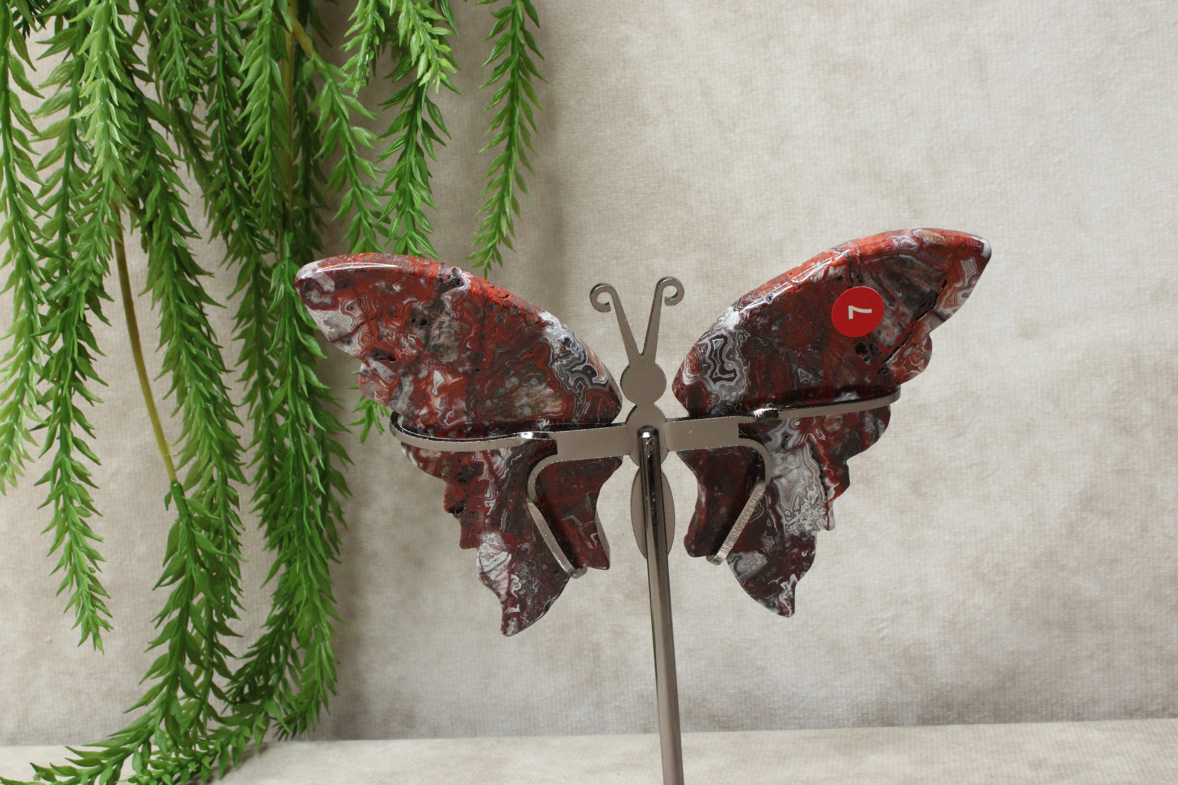 Vlinder crazy lace agaat #7