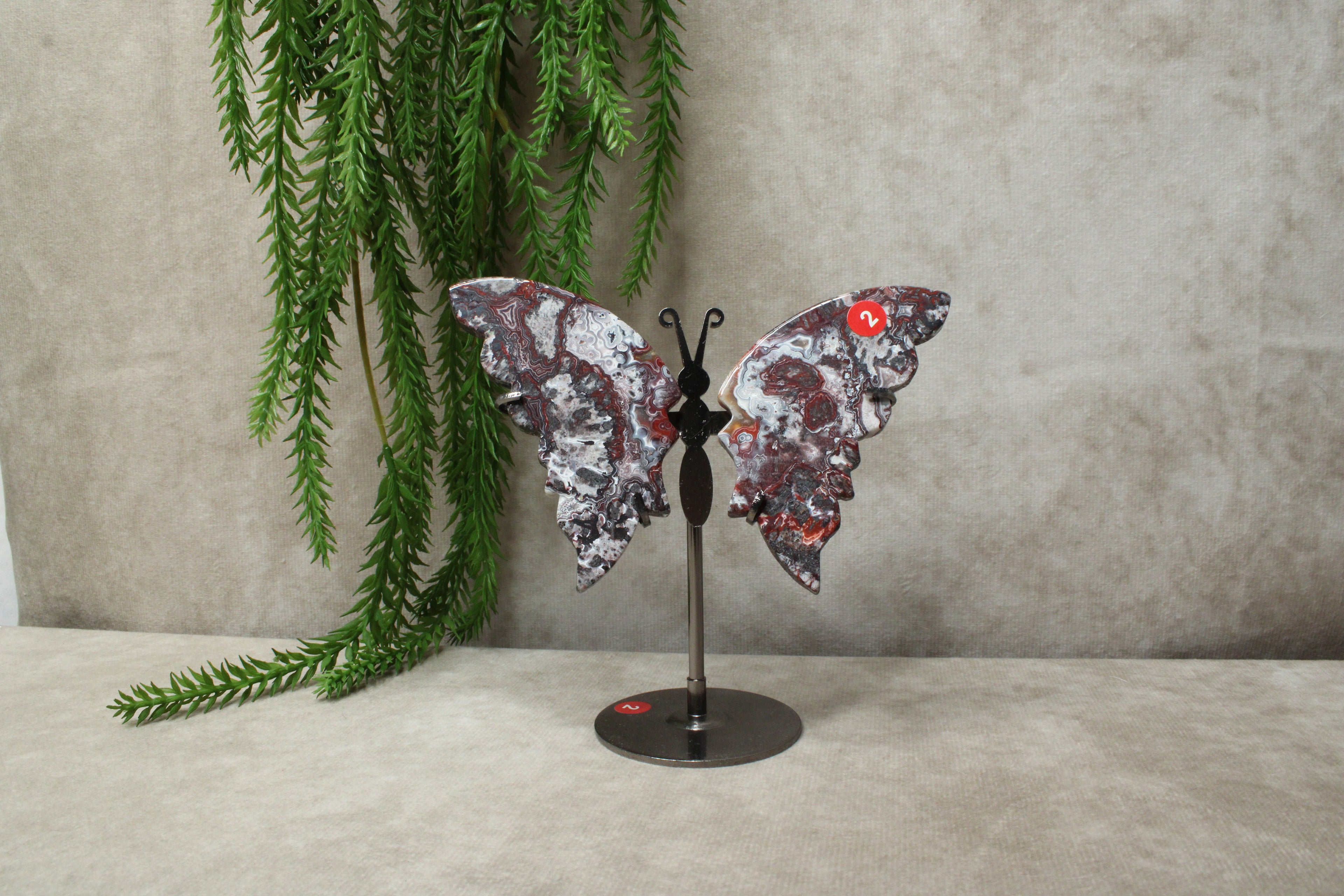 Vlinder crazy lace agaat #2