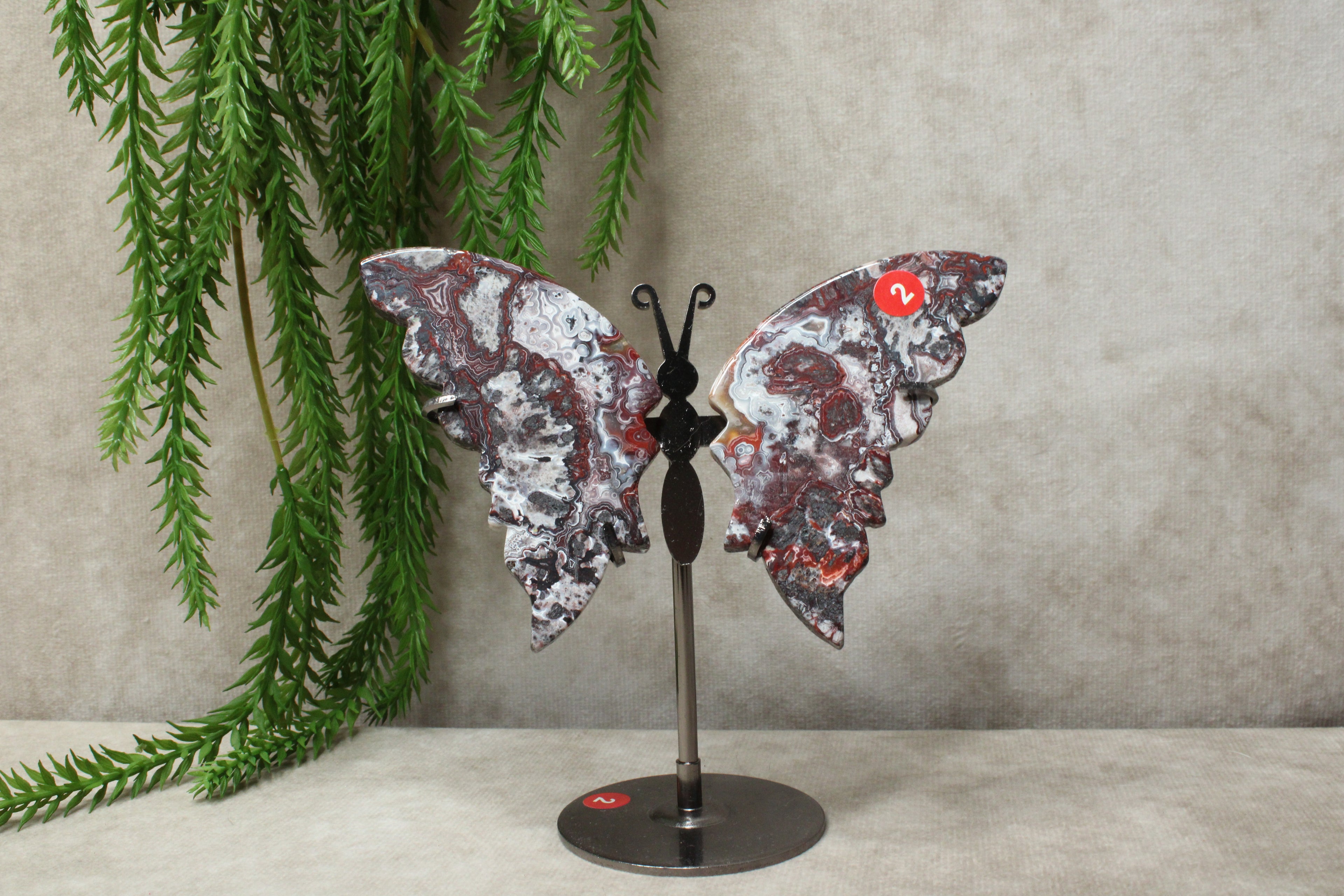 Vlinder crazy lace agaat #2