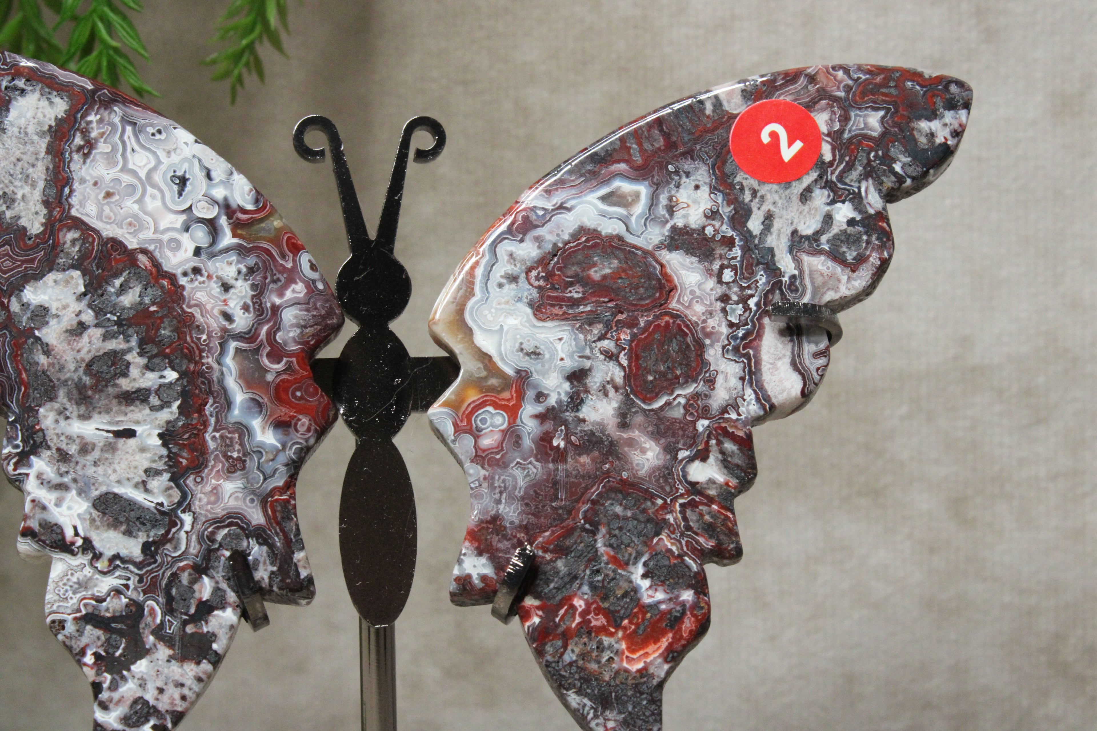 Vlinder crazy lace agaat #2