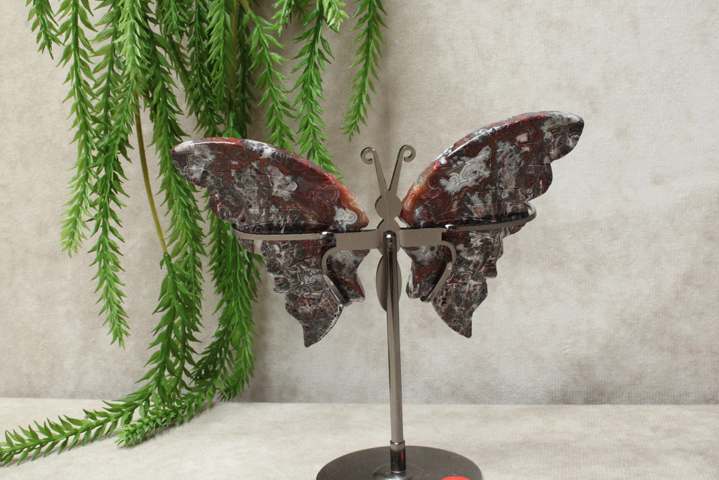 Vlinder crazy lace agaat #2