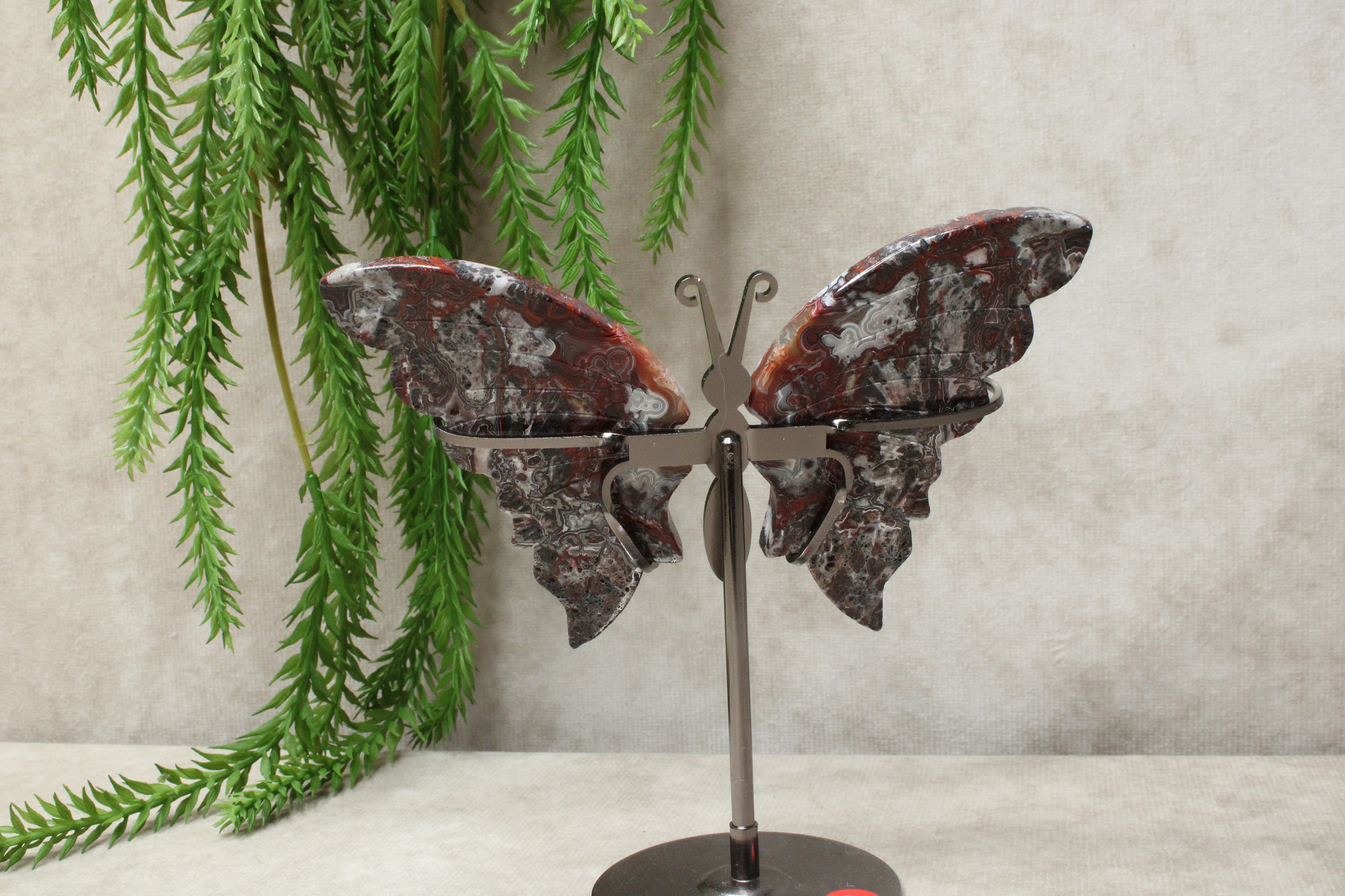 Vlinder crazy lace agaat #2