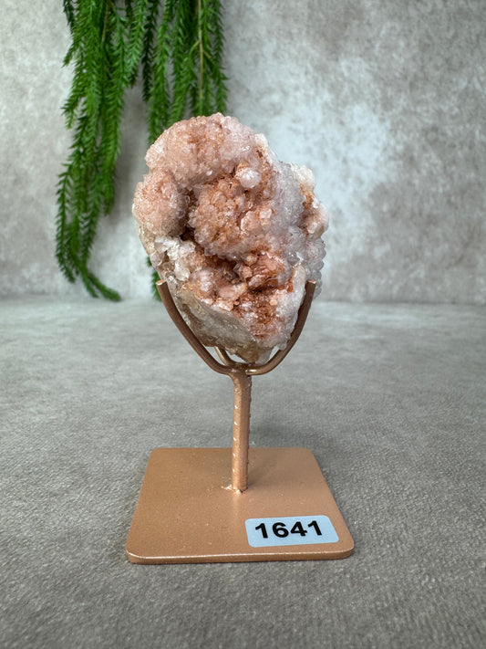 Roze amethis cluster op standaard #1641