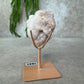 Roze amethis cluster op standaard #1641