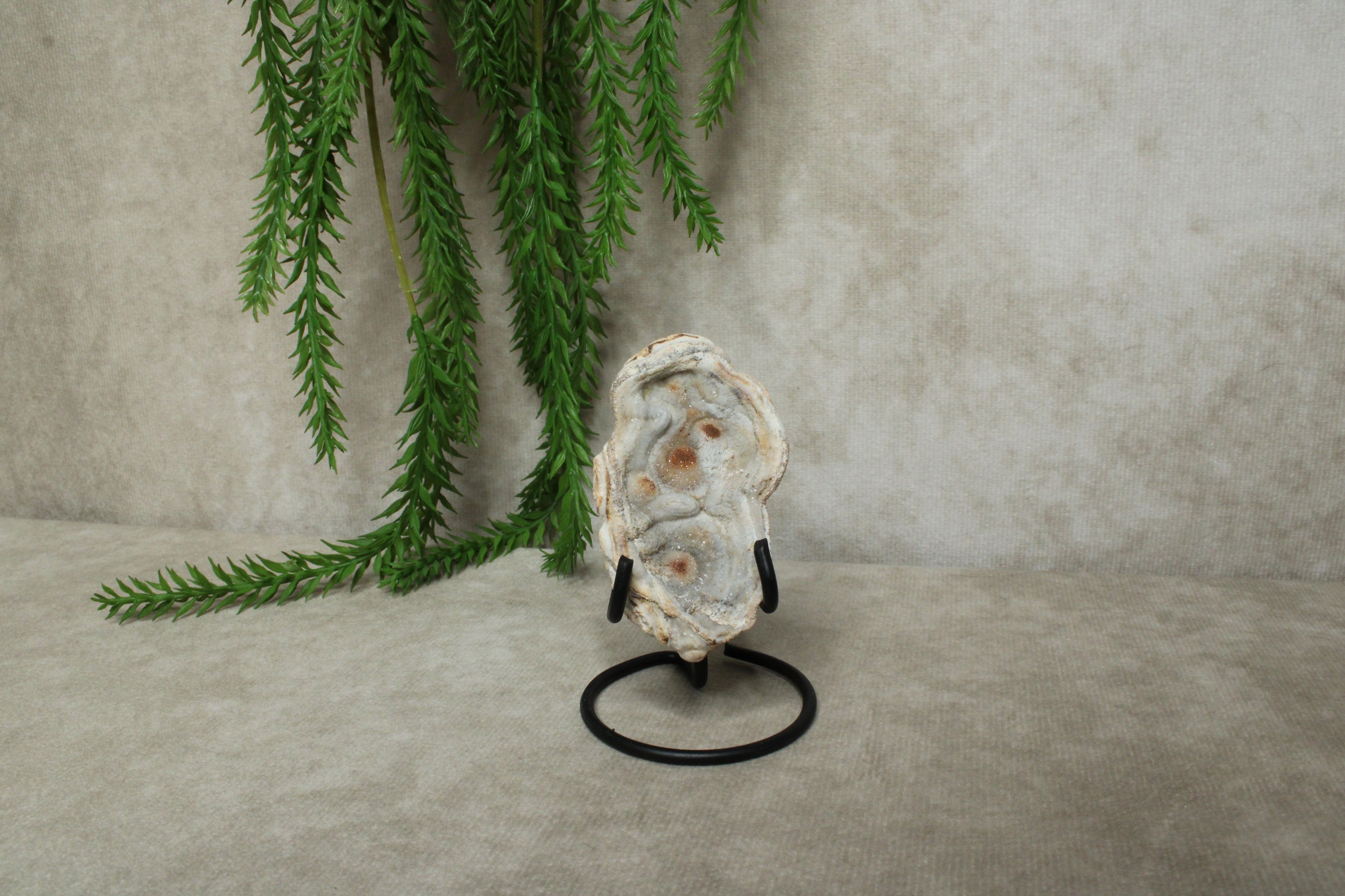 Chalcedoon roos
