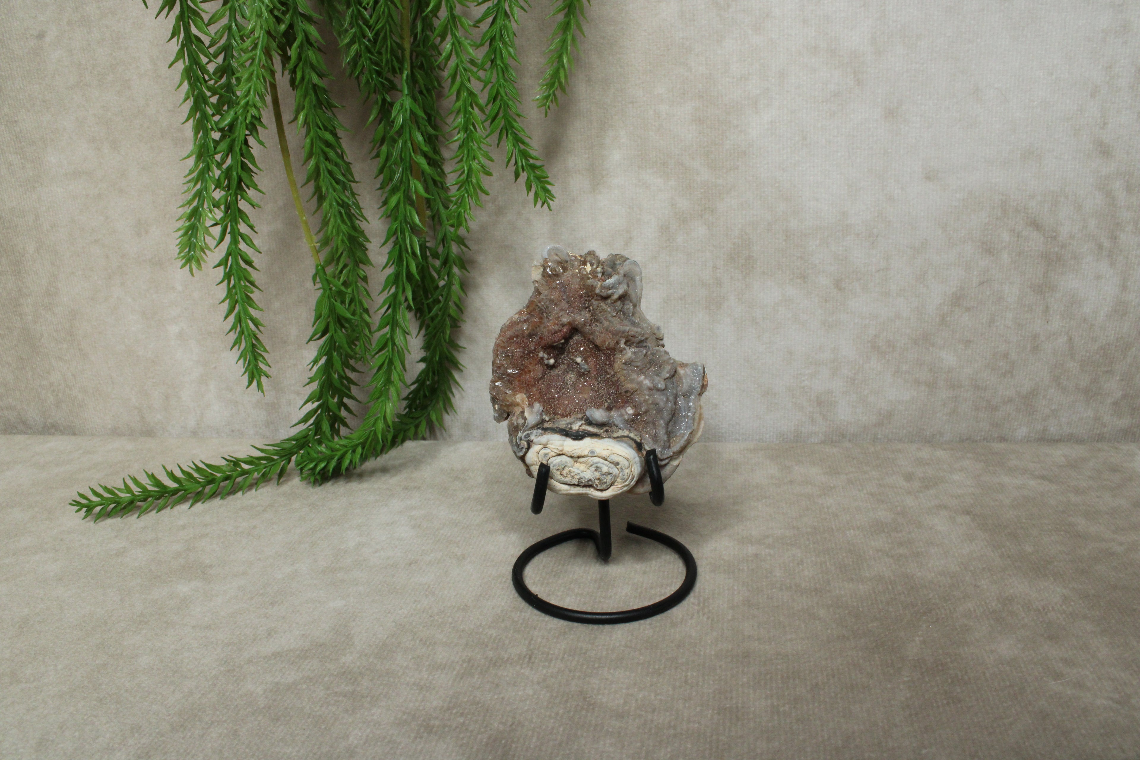 Chalcedoon roos