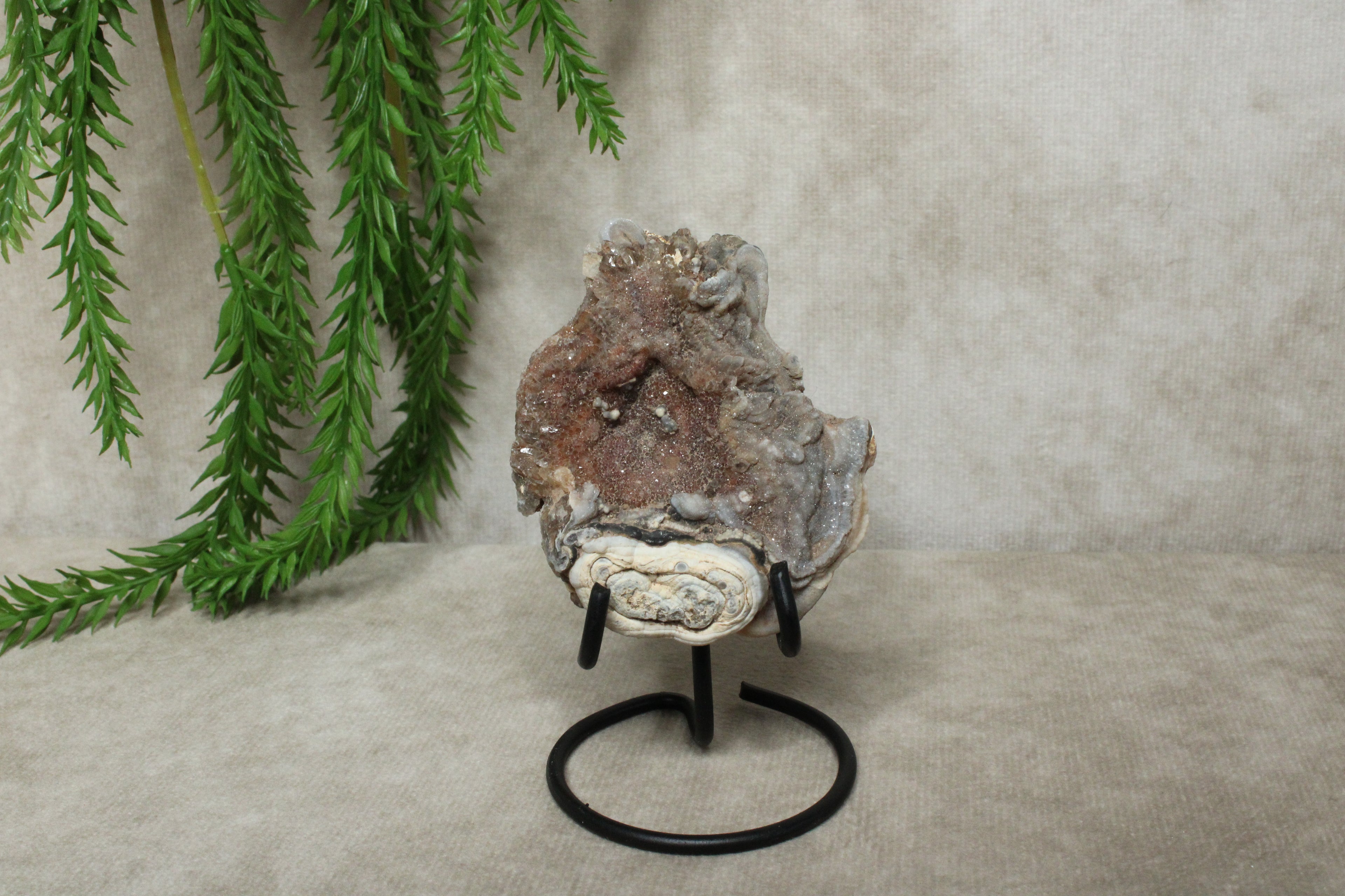 Chalcedoon roos