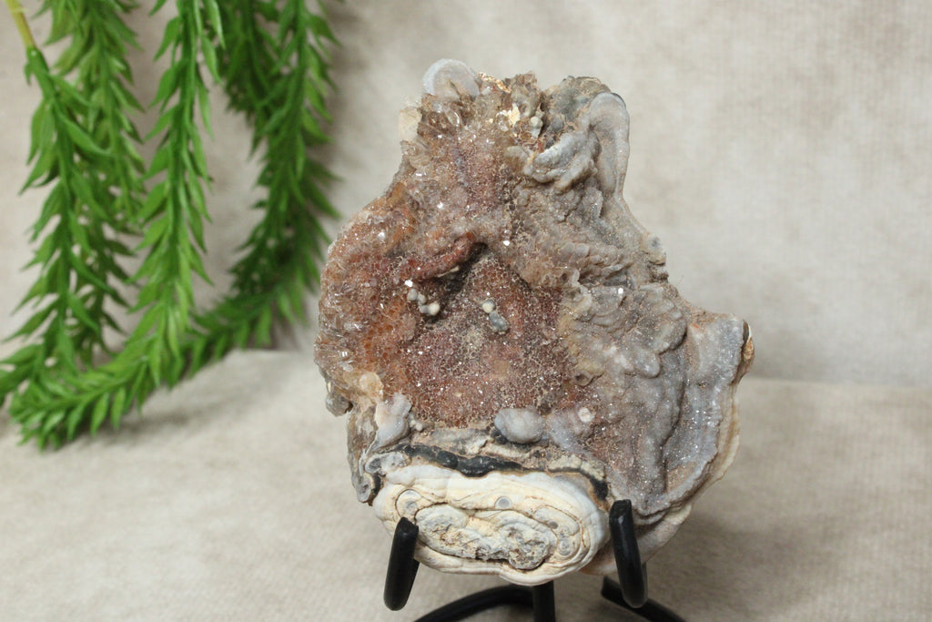 Chalcedoon roos