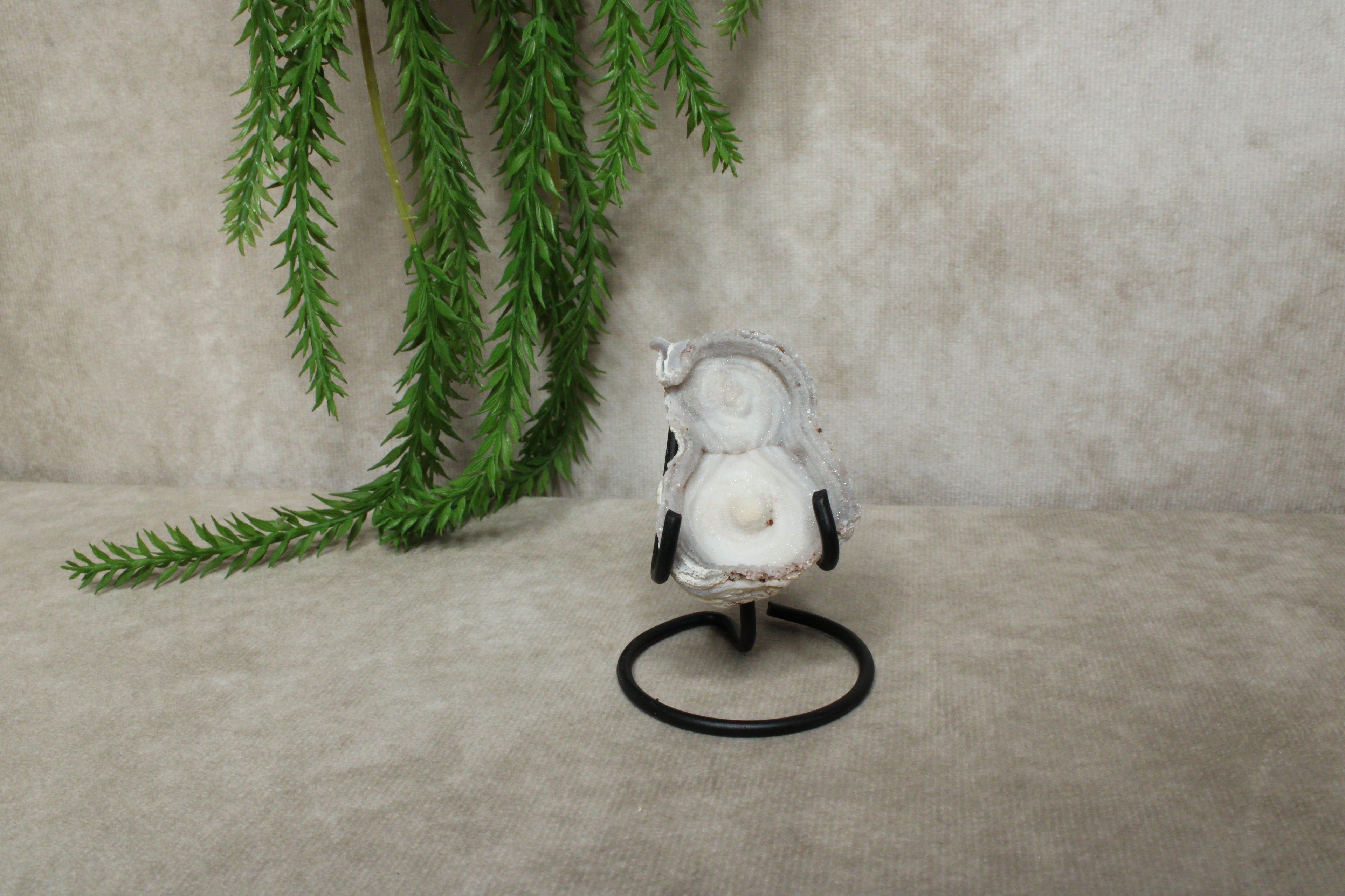 Chalcedoon roos