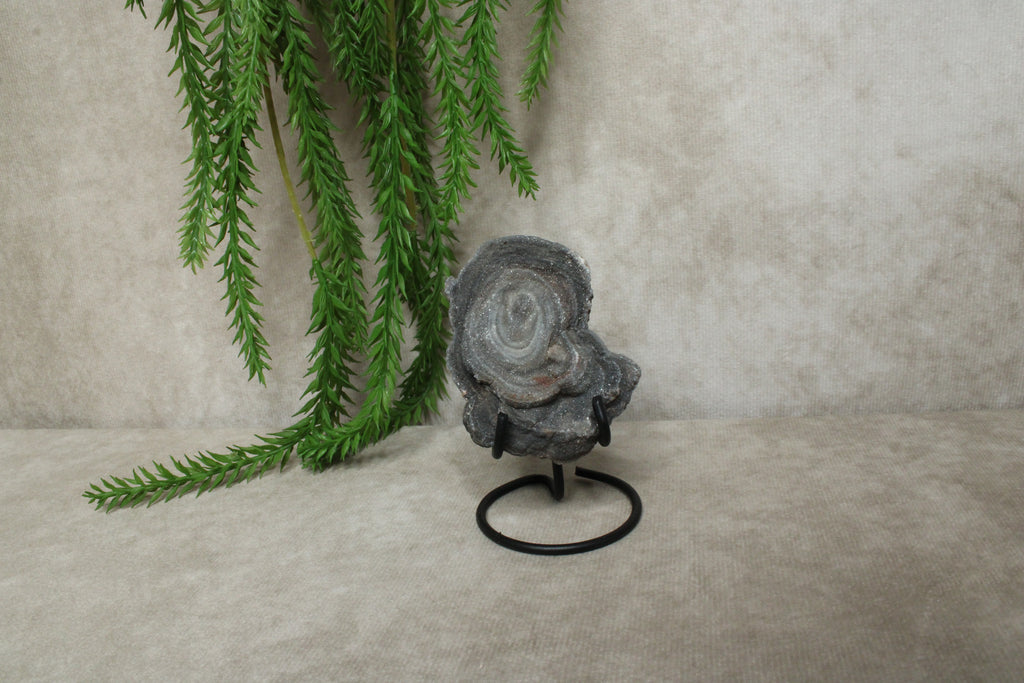 Chalcedoon roos