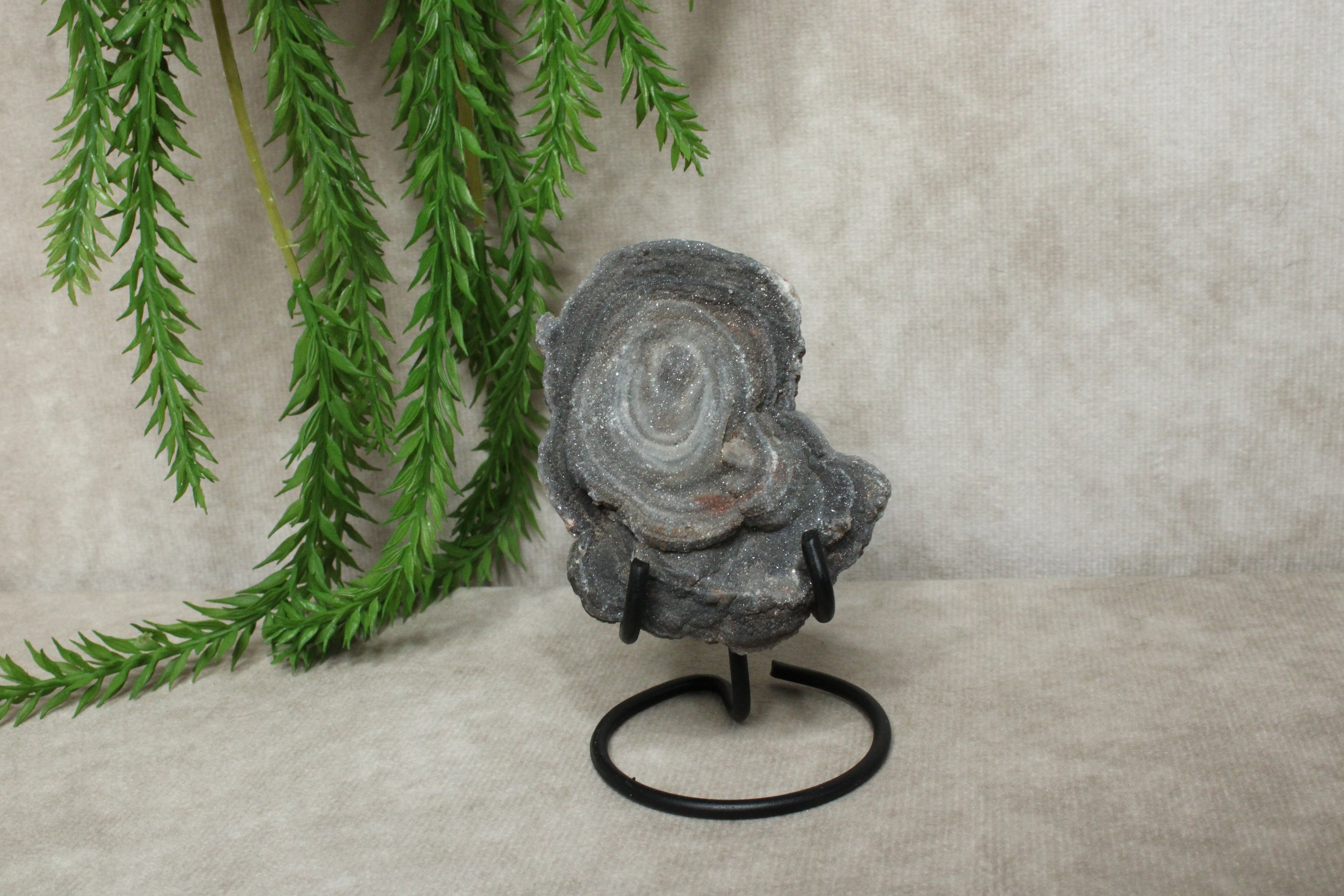 Chalcedoon roos