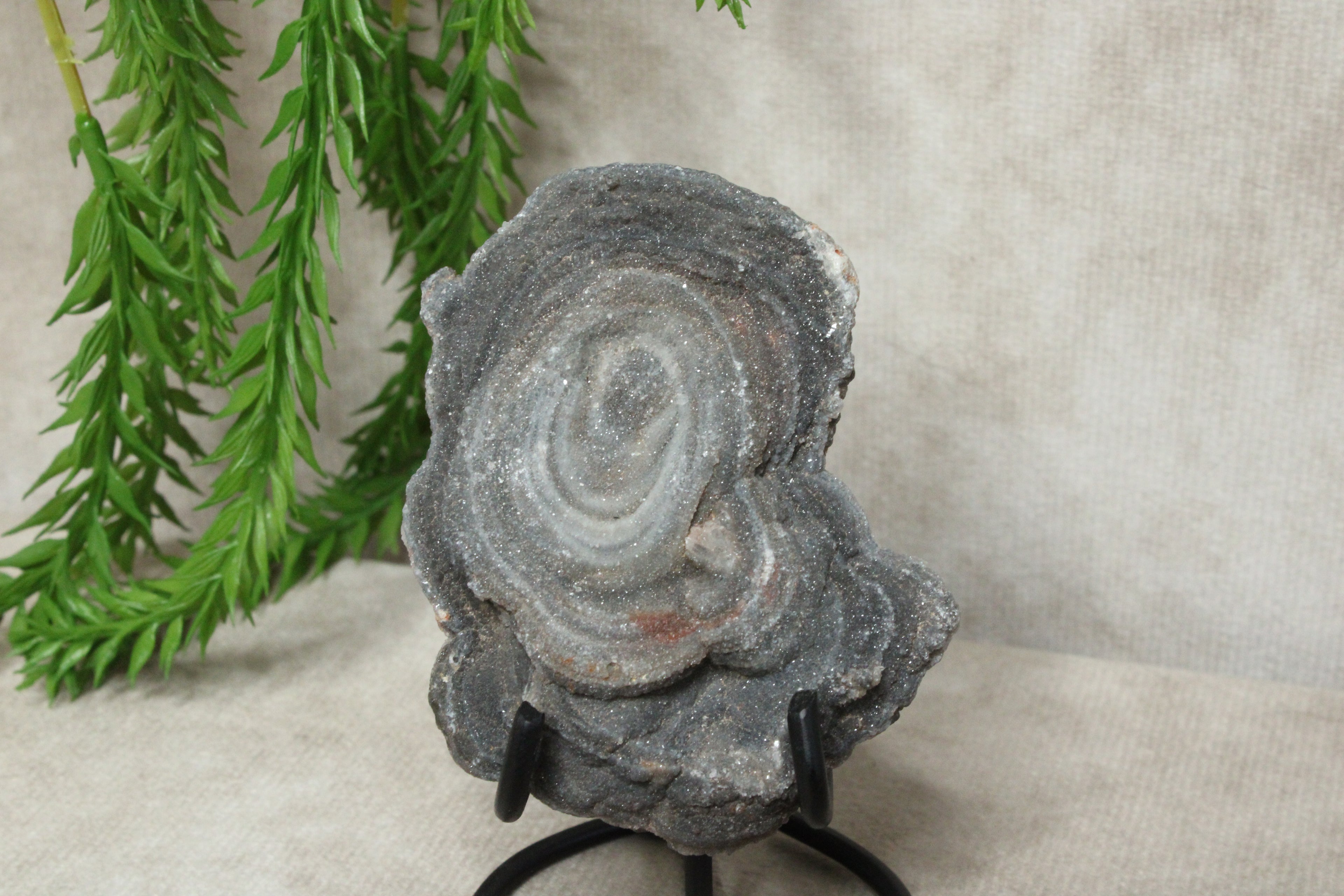 Chalcedoon roos