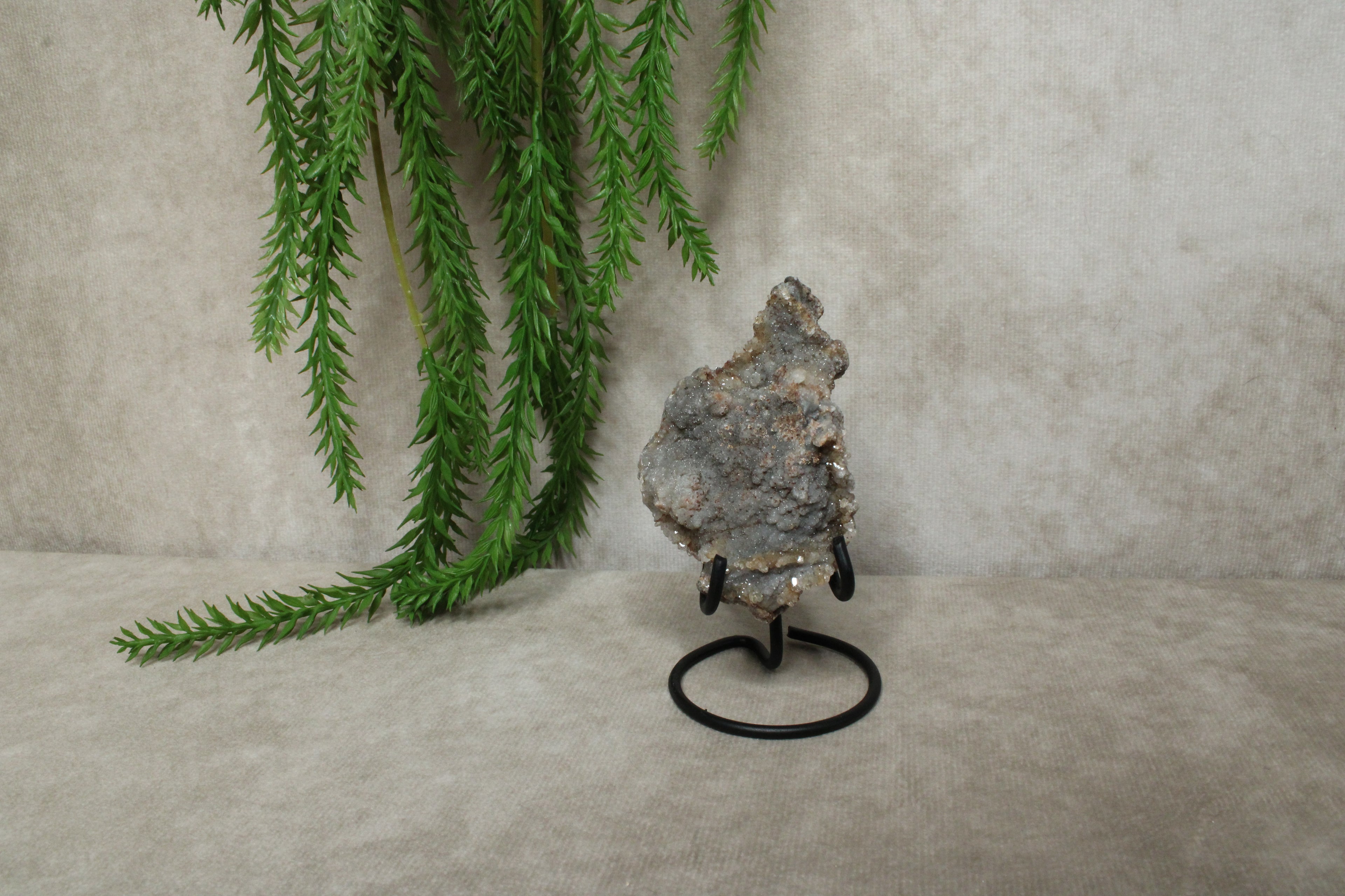 Chalcedoon roos