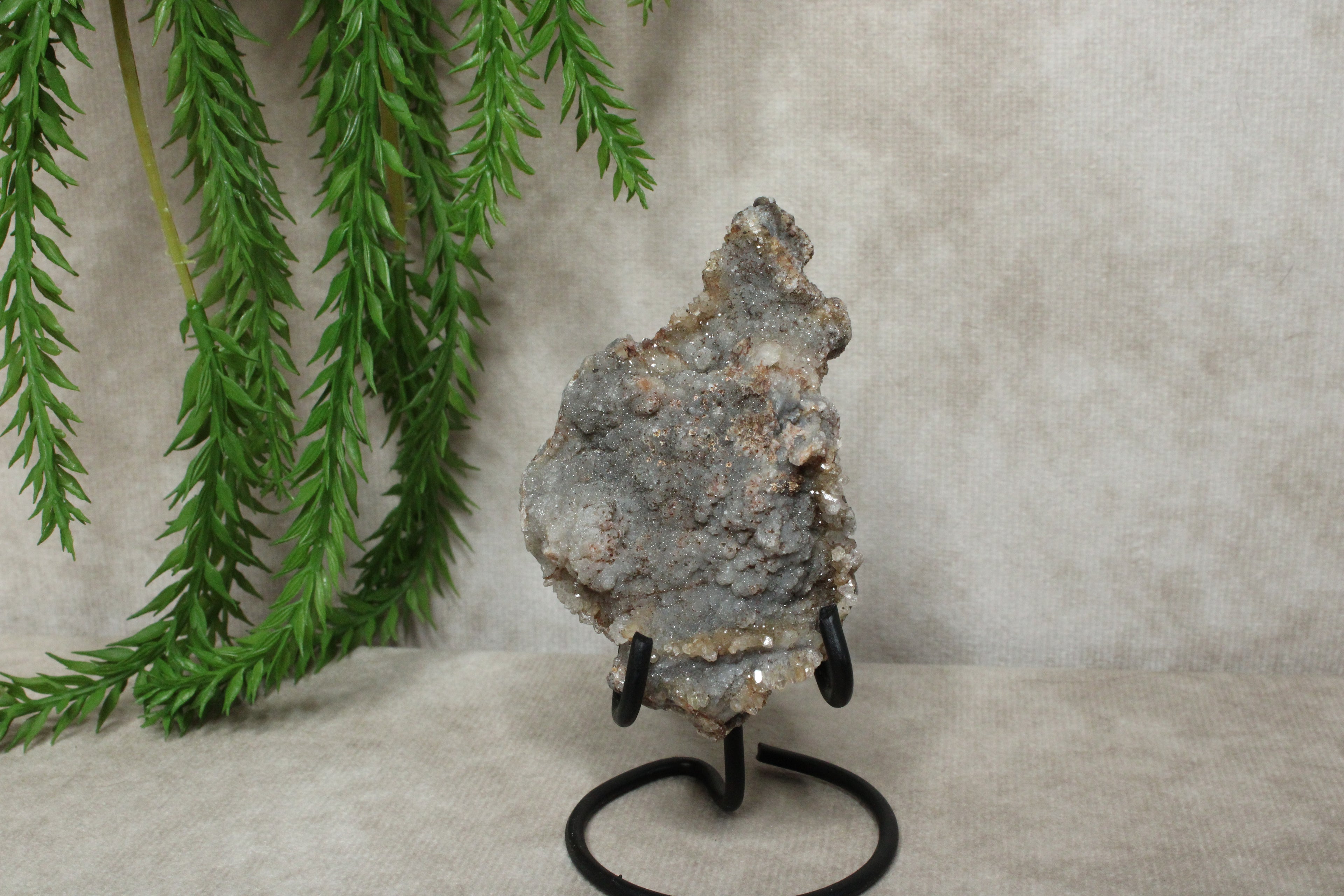 Chalcedoon roos