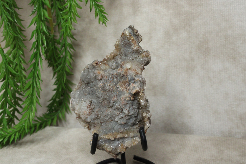 Chalcedoon roos