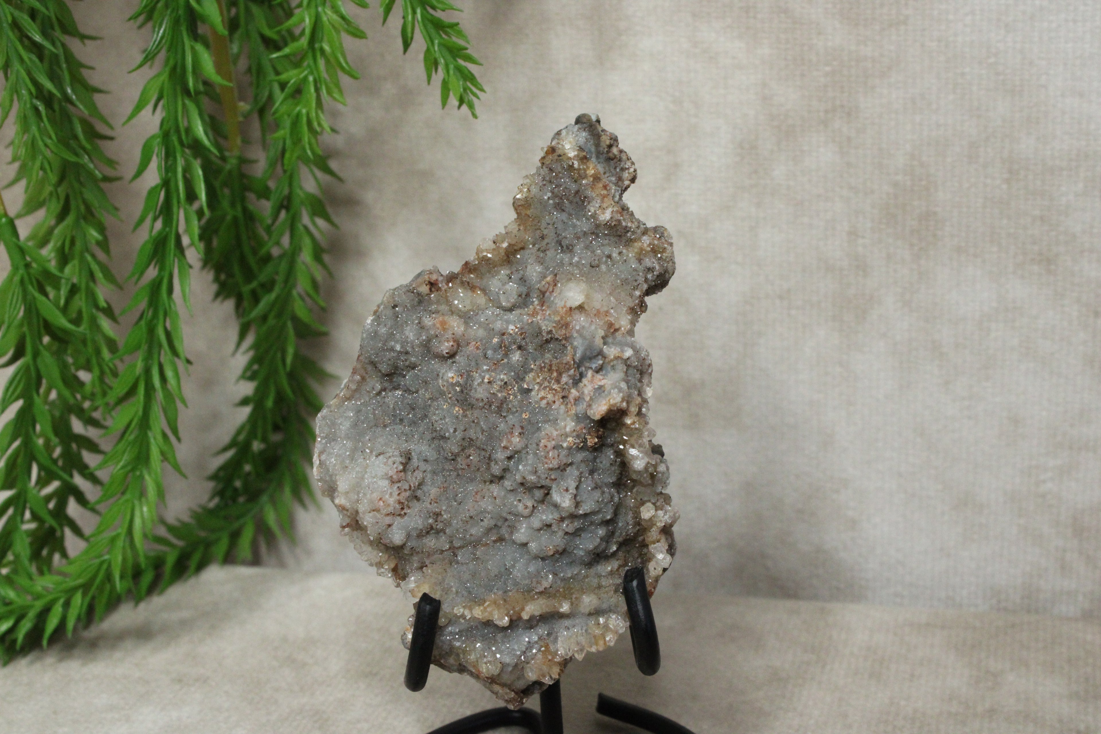 Chalcedoon roos