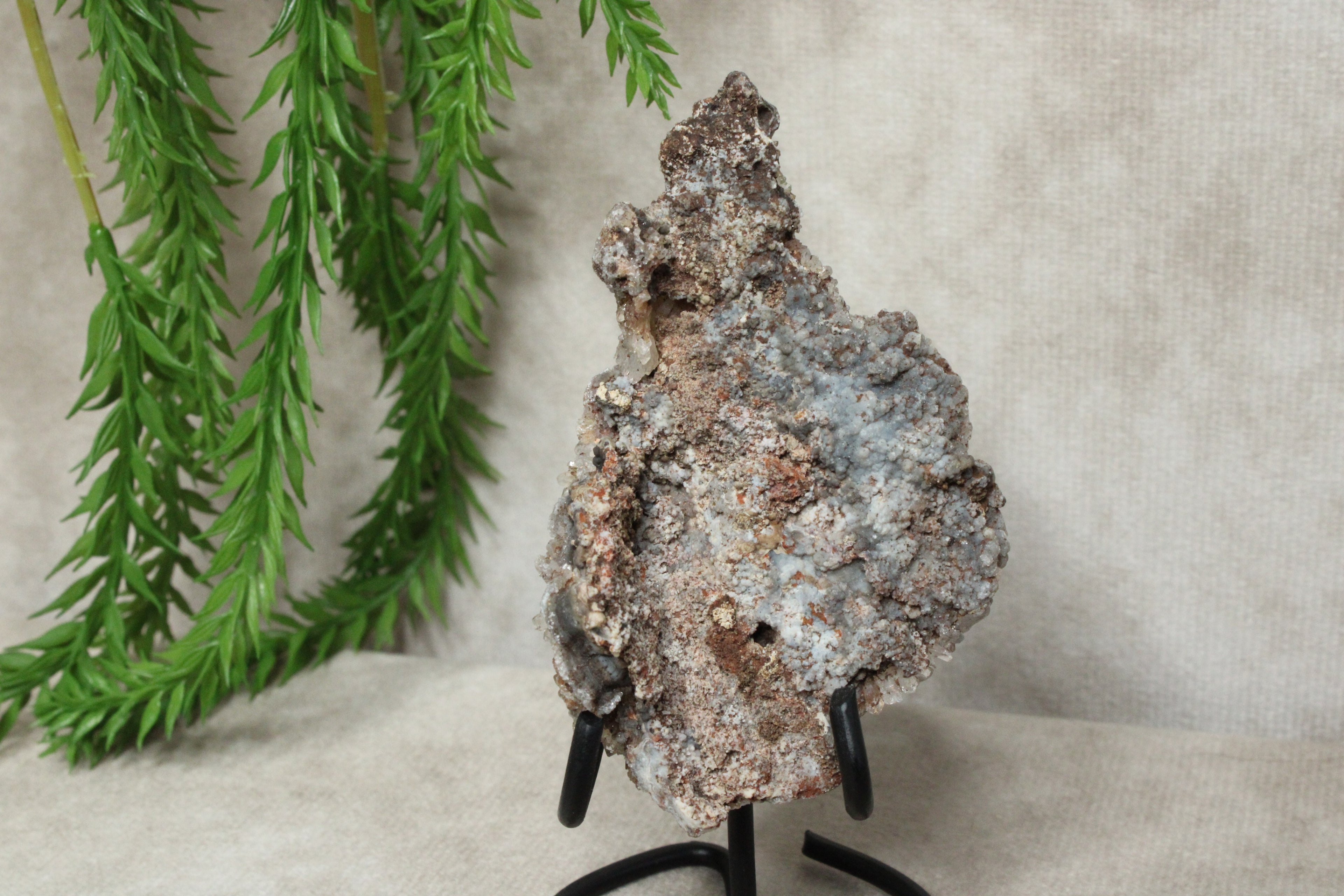Chalcedoon roos