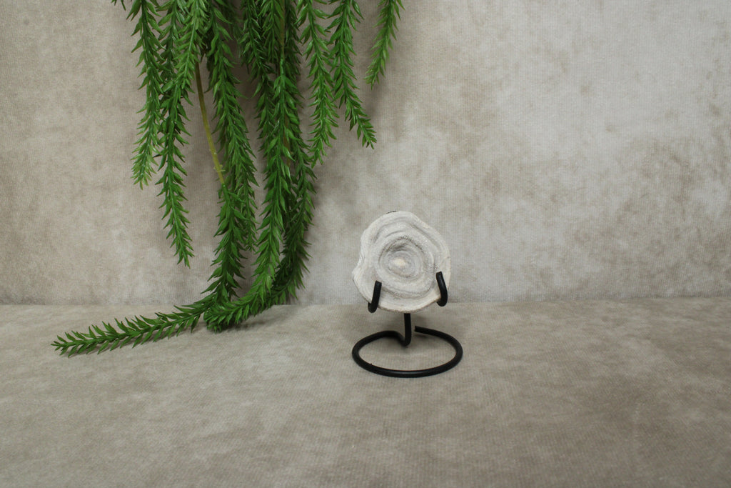 Chalcedoon roos