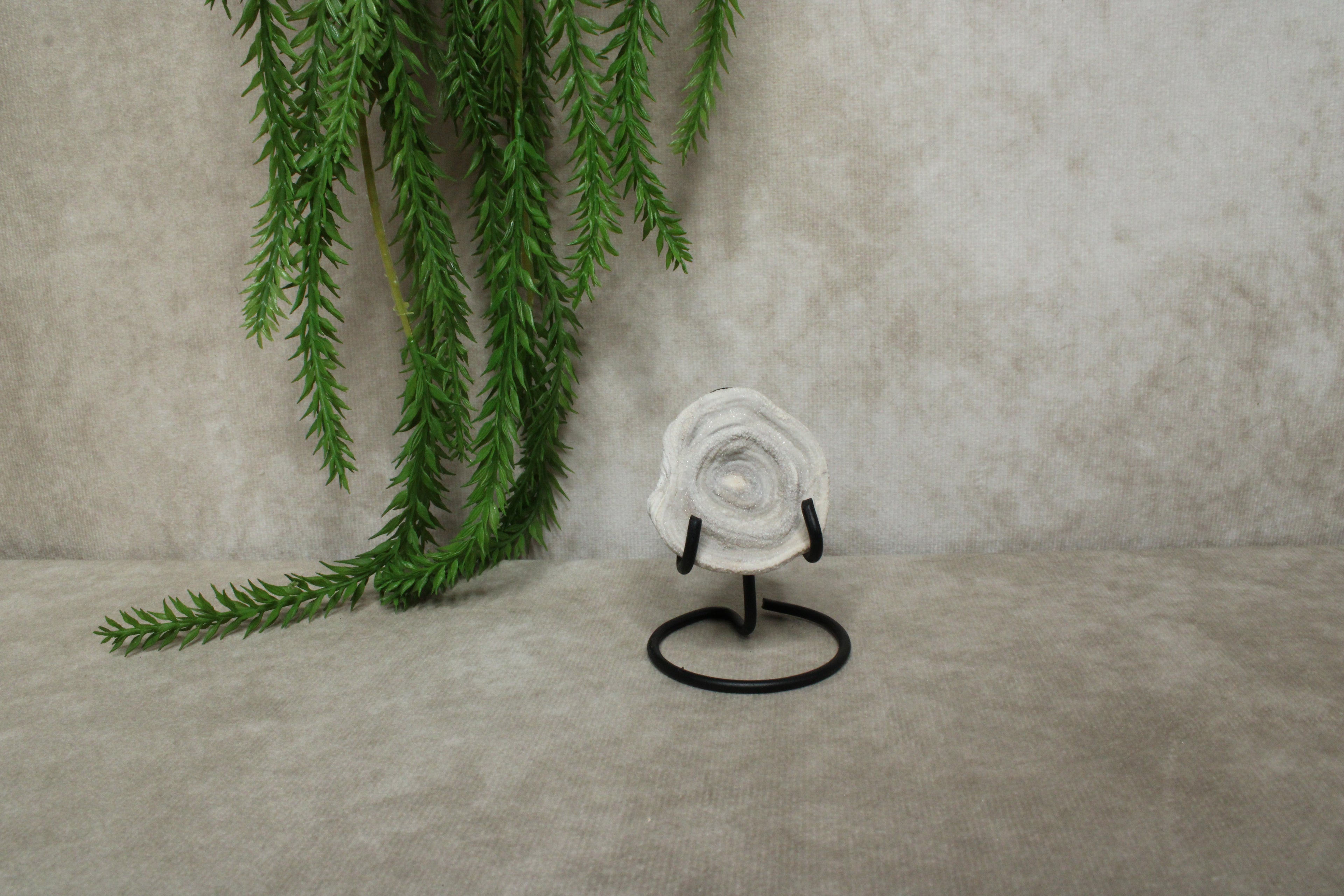 Chalcedoon roos