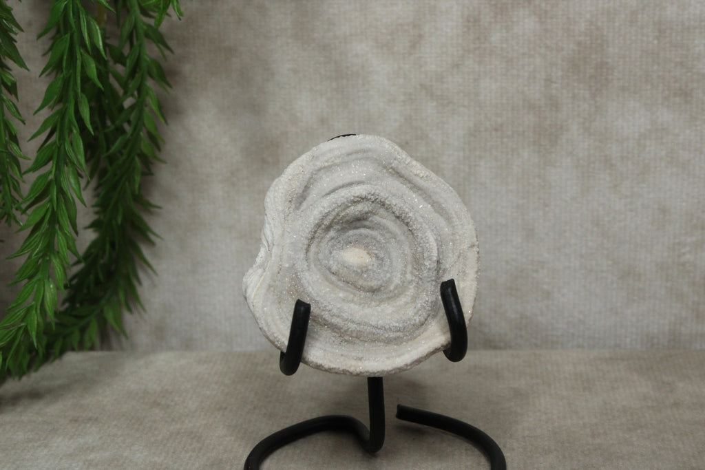 Chalcedoon roos
