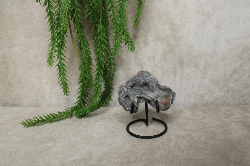 Chalcedoon roos