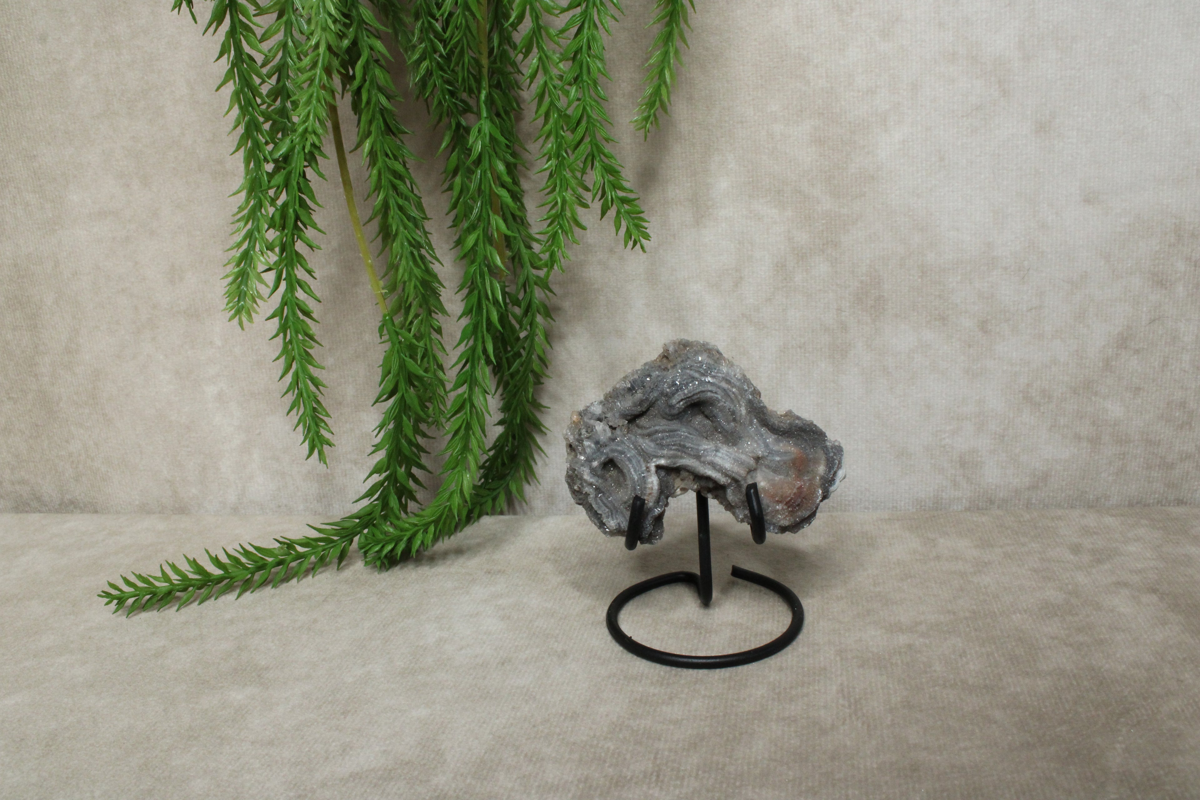 Chalcedoon roos