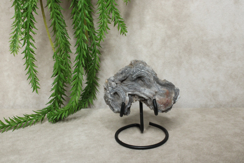 Chalcedoon roos