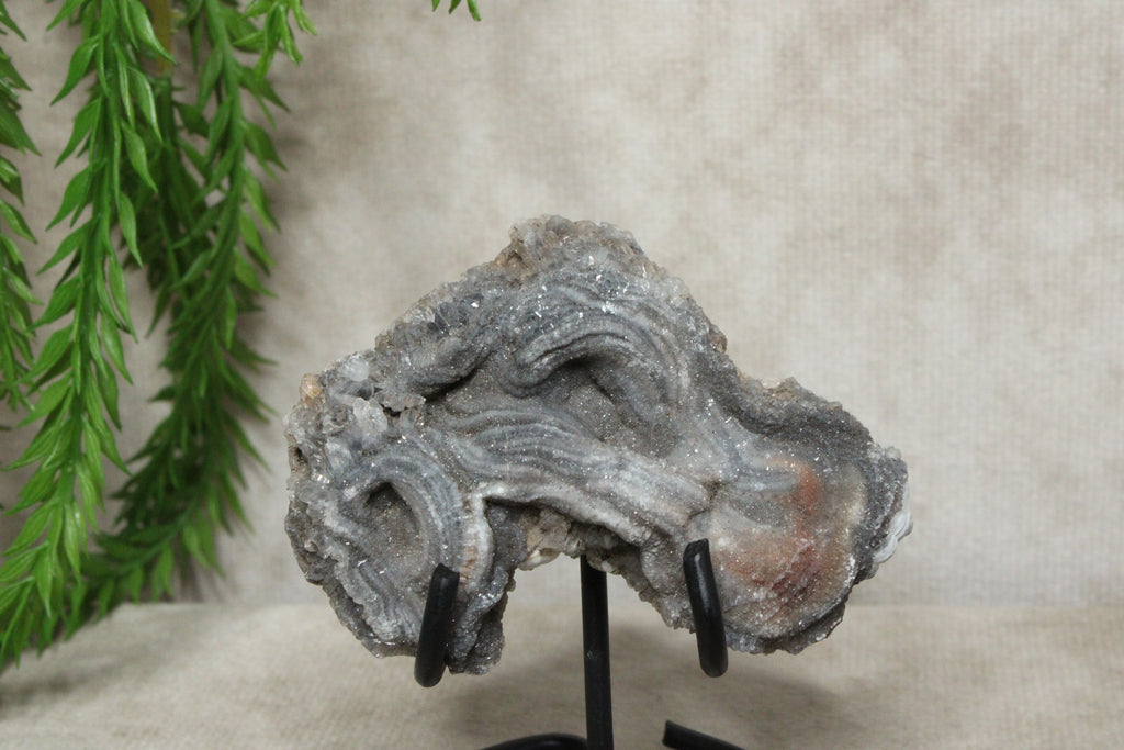 Chalcedoon roos