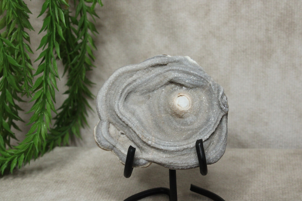 Chalcedoon roos