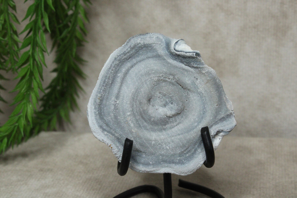 Chalcedoon roos
