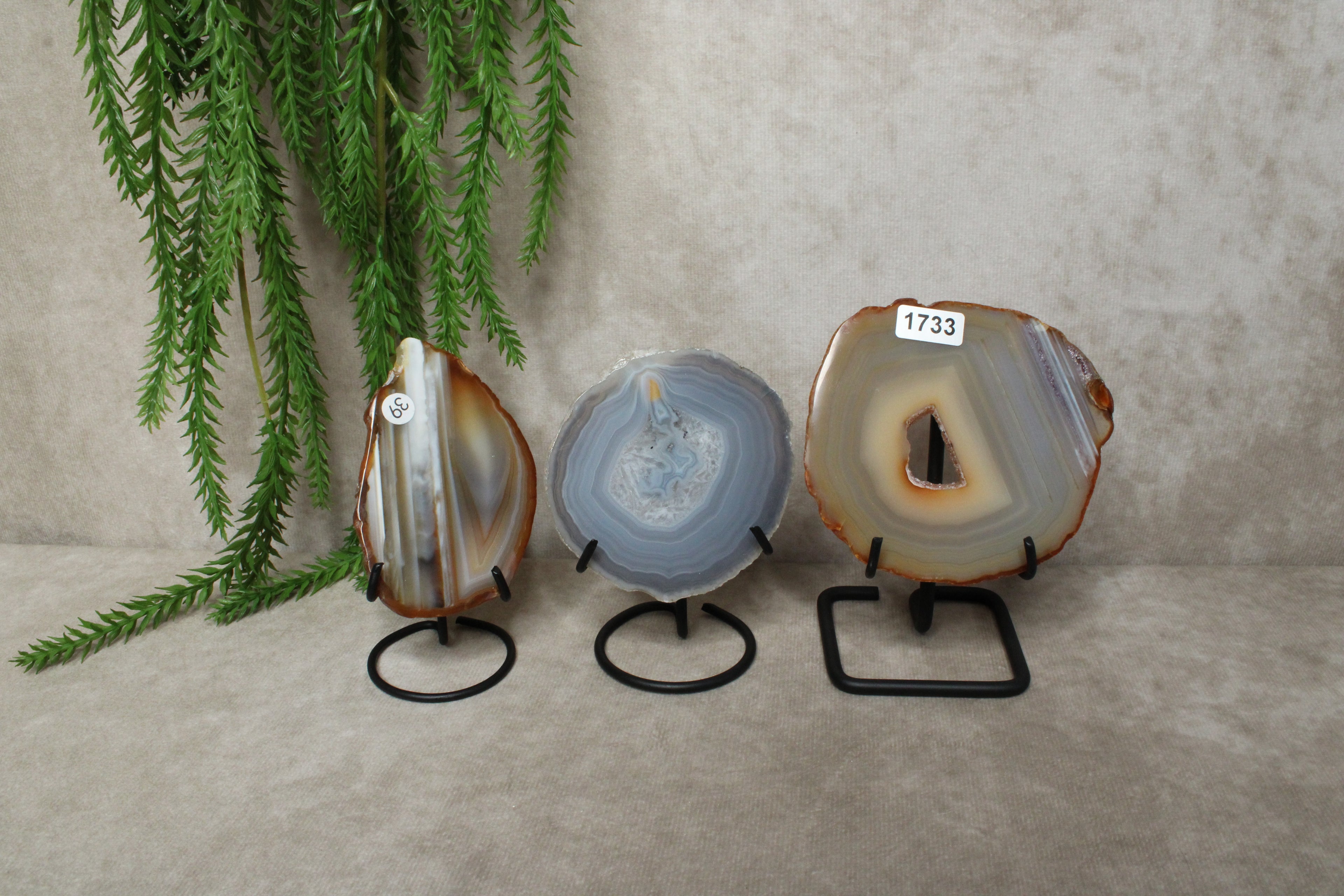 Standaard zwart schijven