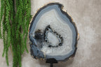Agaat schijf #1198