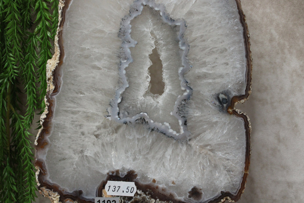 Agaat schijf #1192